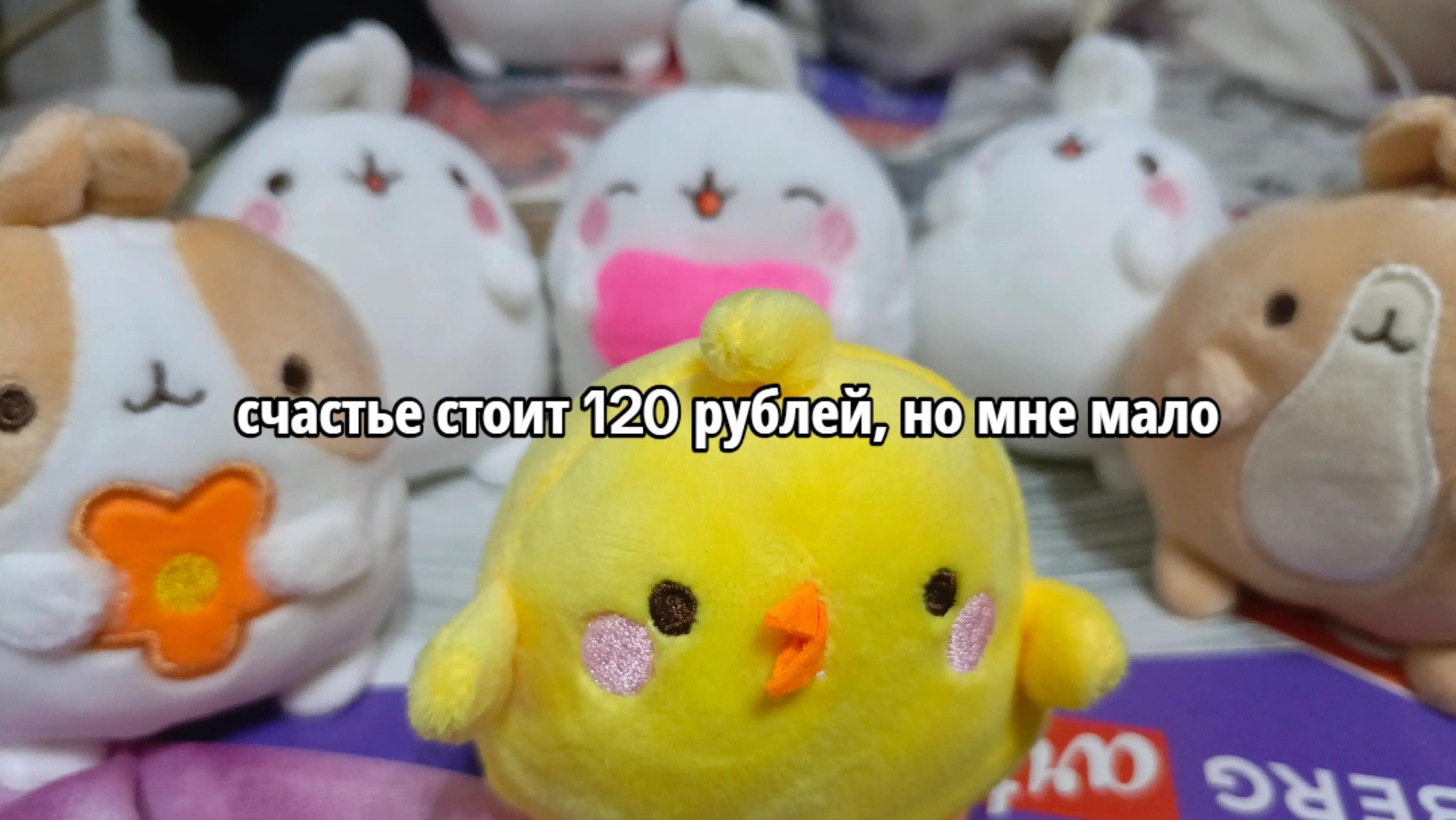 @ФОМКА( =ω= )🫐@