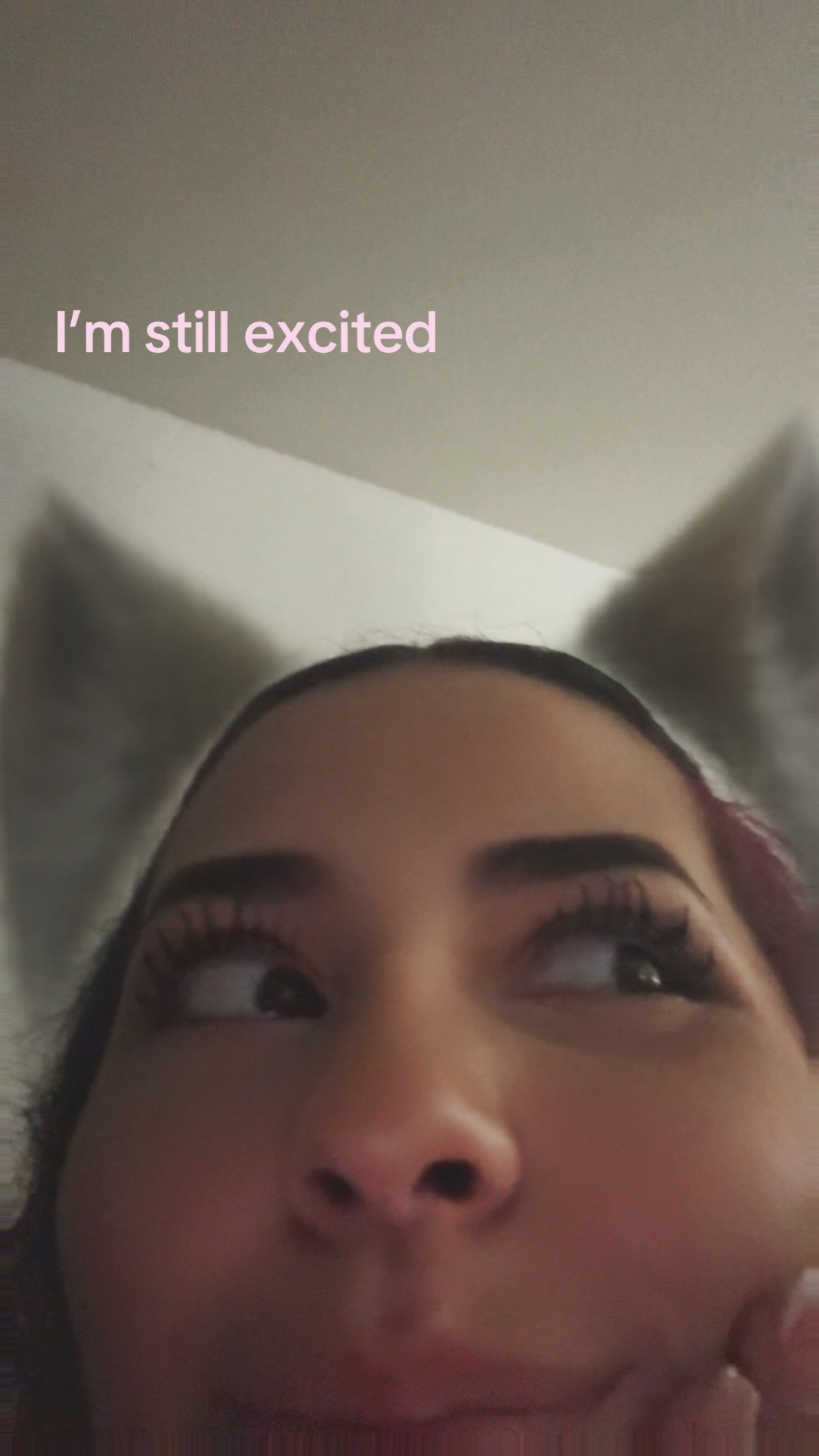 @🐈⬛