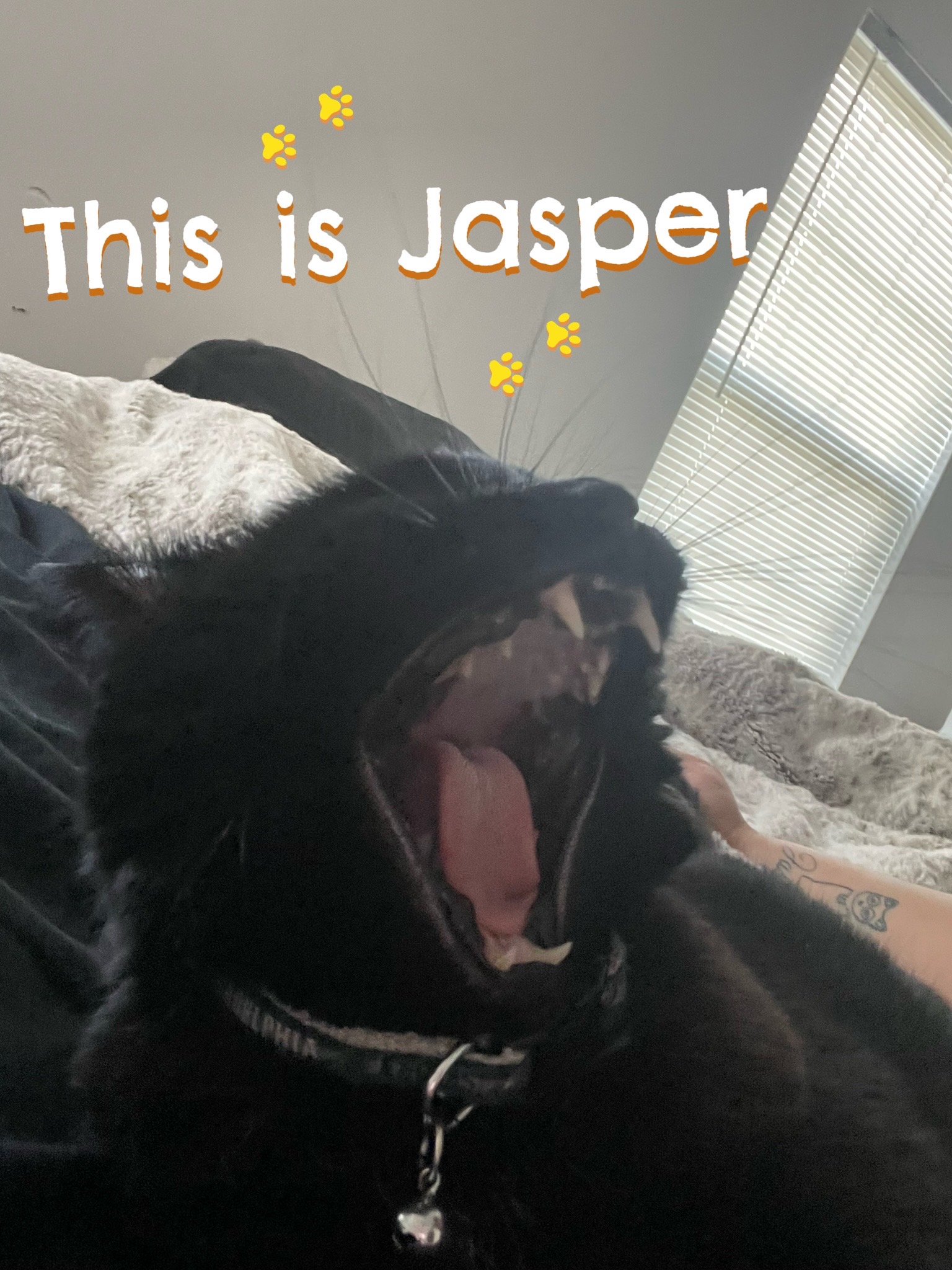 @Jasper