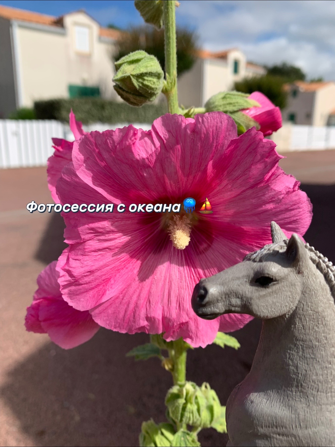 @☀️🛼schleich🌺🫧໒꒰ྀིっ˕ -。꒱ྀི১