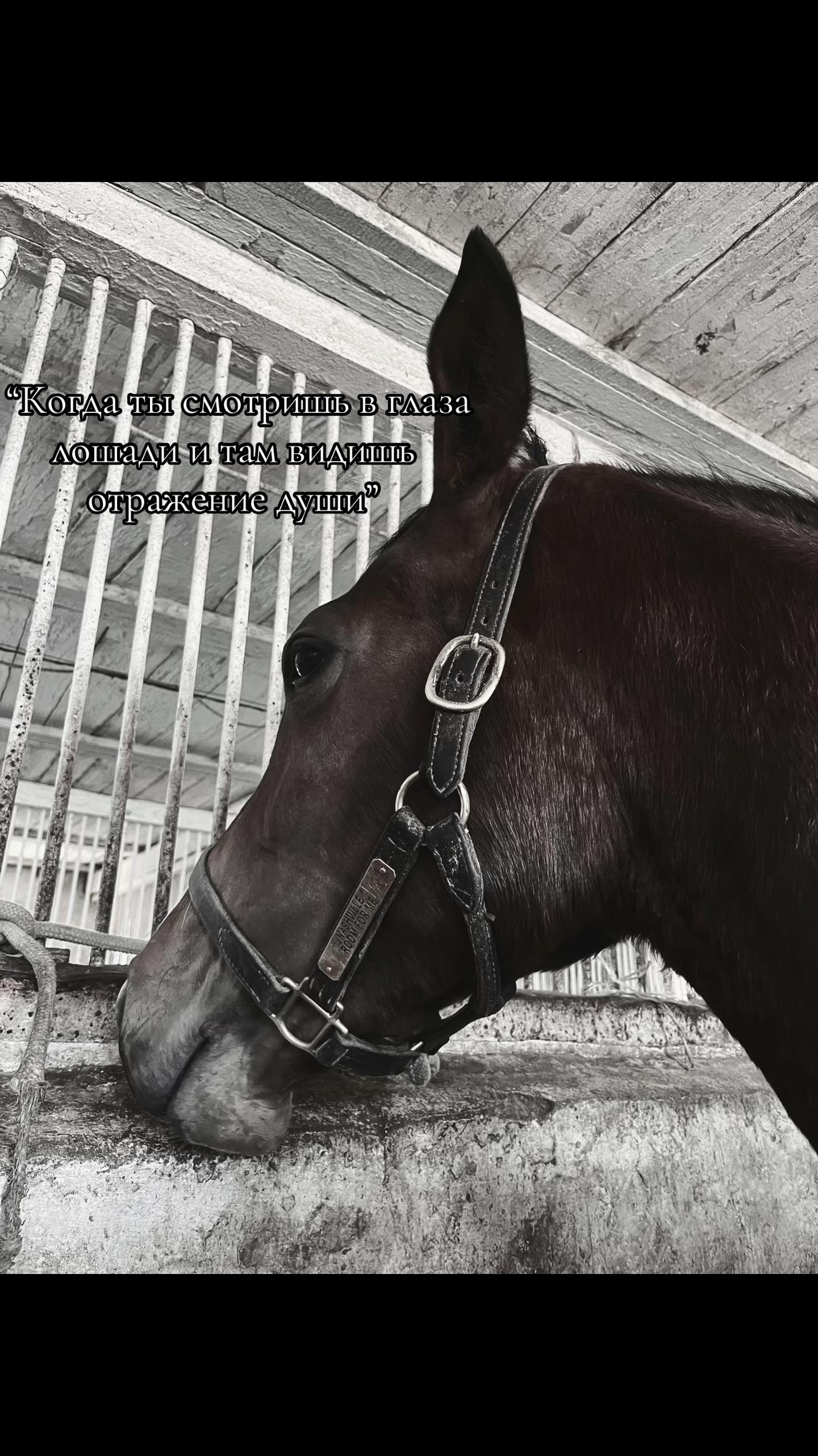 @nursssxx7🇺🇸
