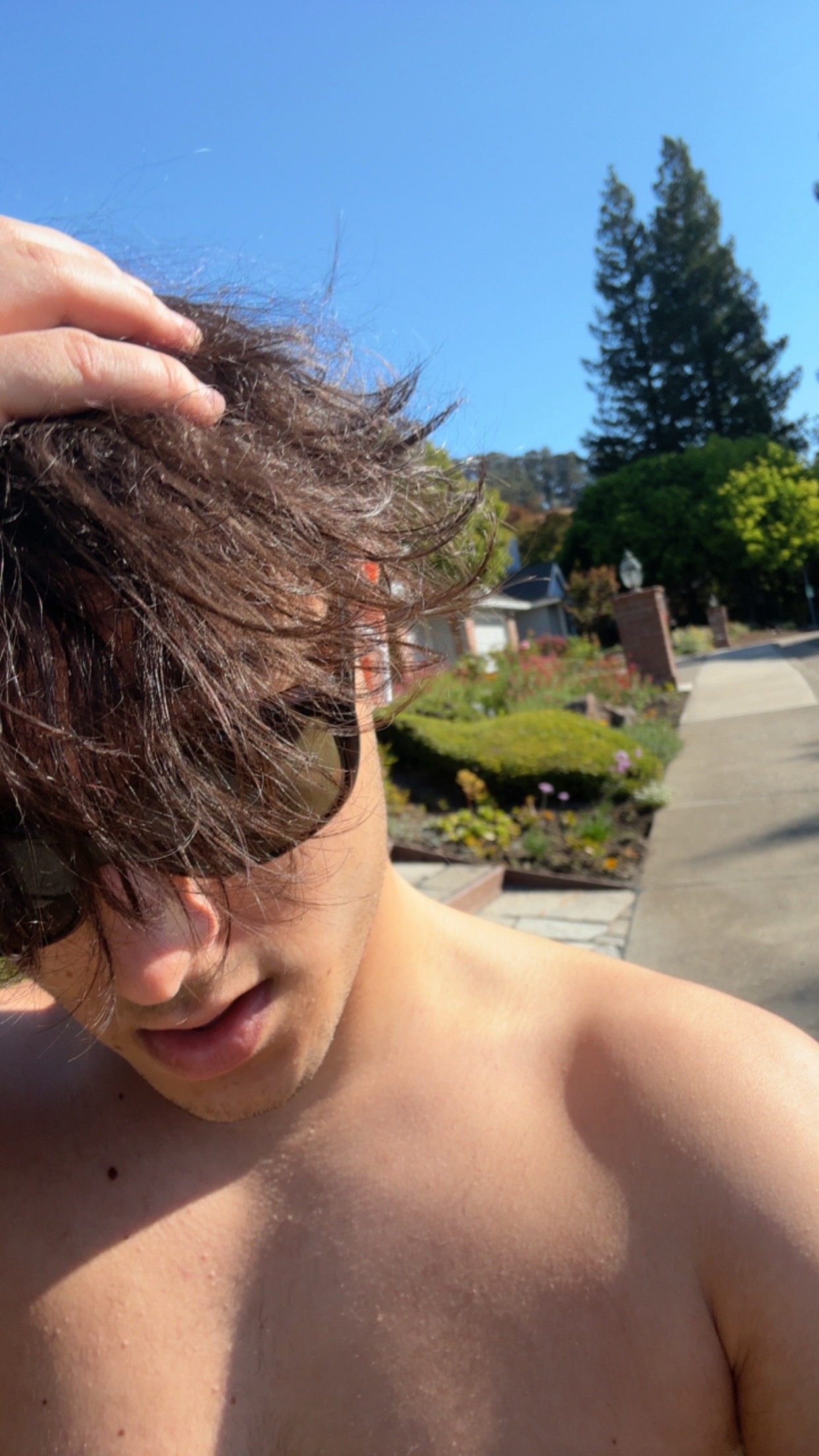 @🌳