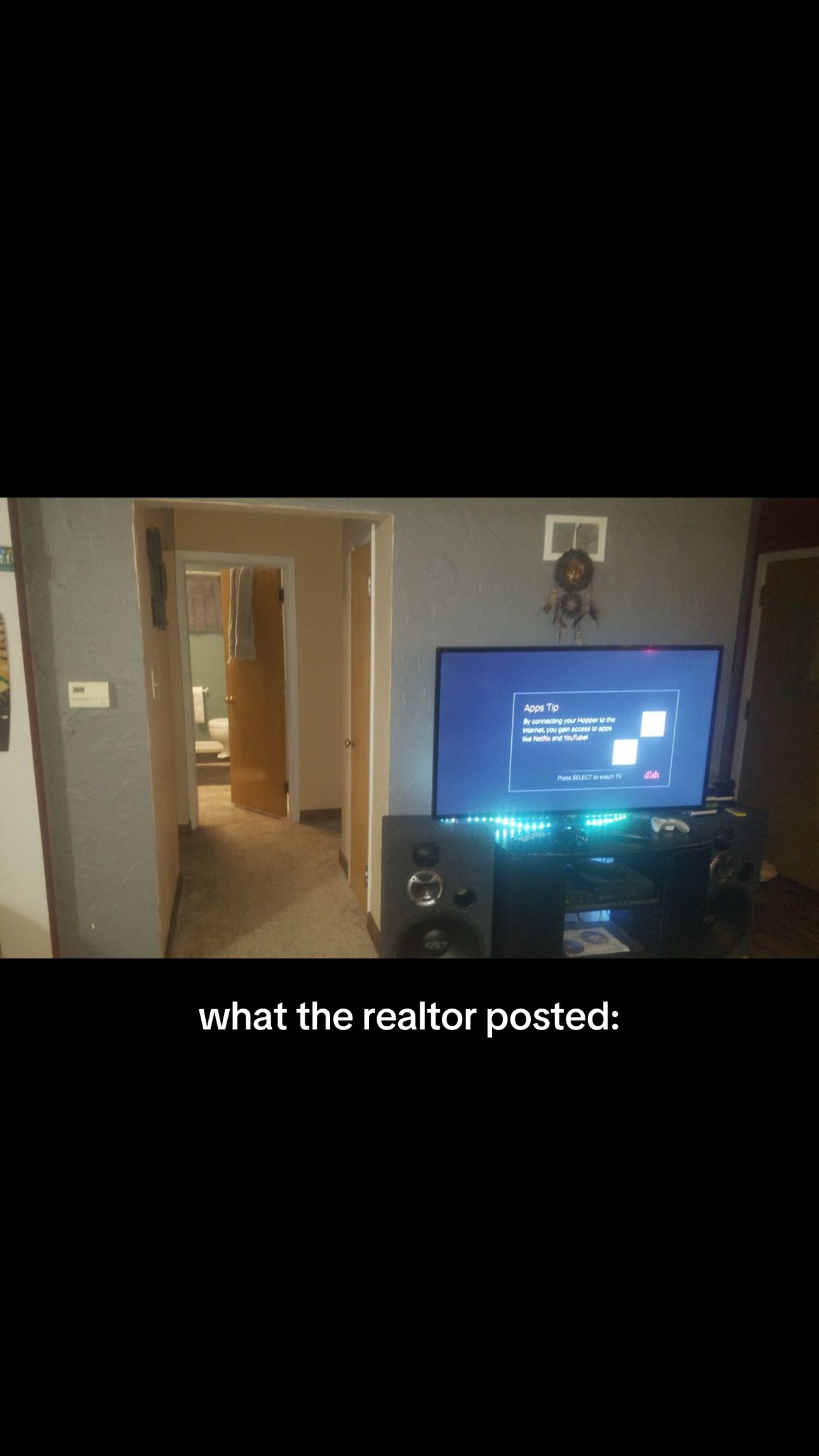 @avaeilers