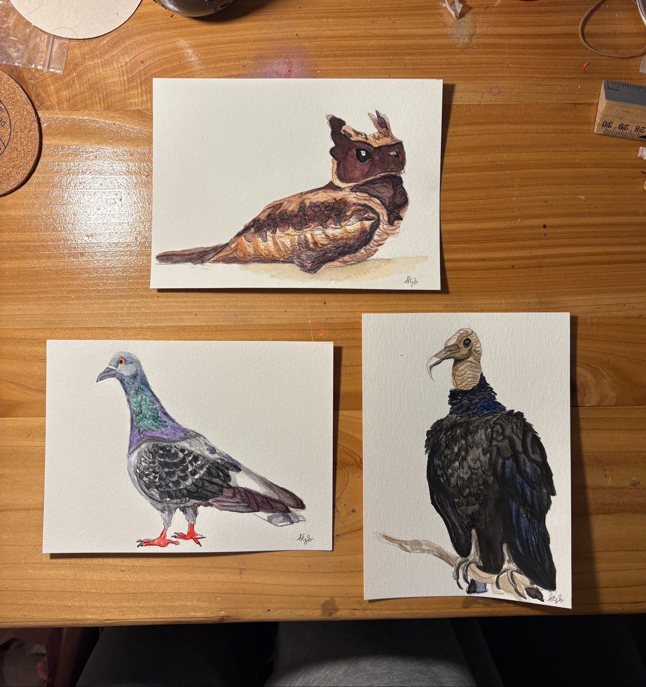 @sarah