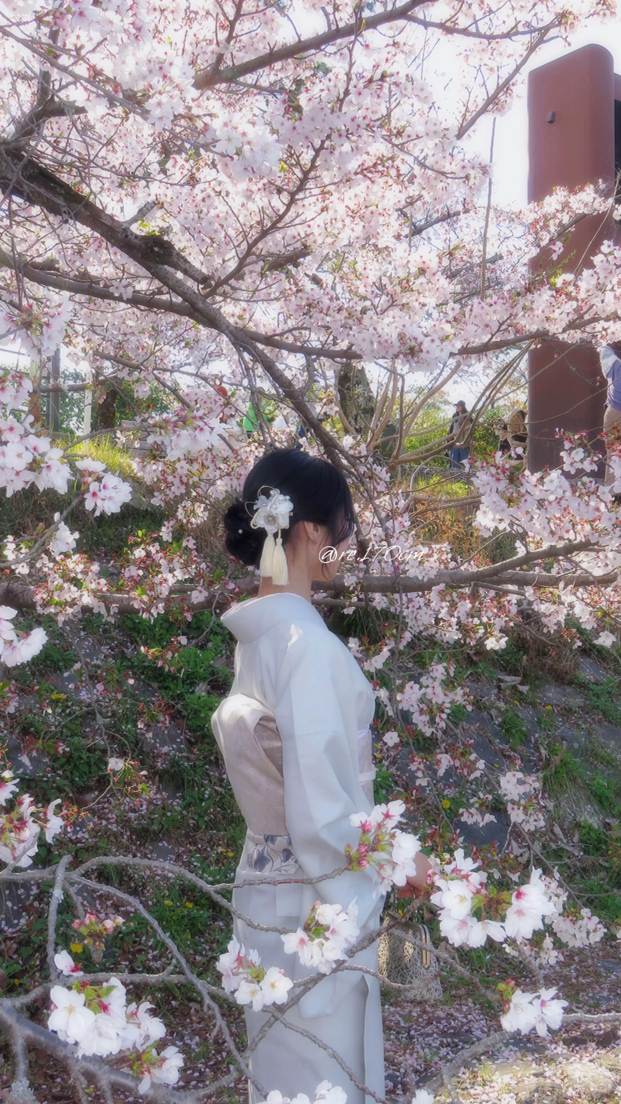 @Re:婿