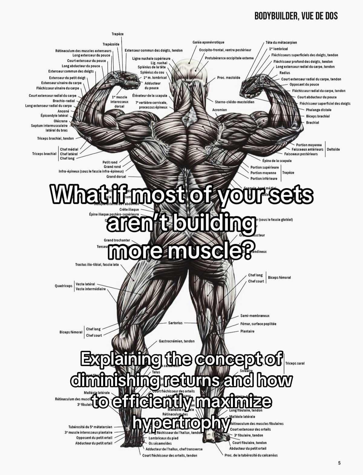 @goliathliftzz 6&rsquo;6 bodybuilder