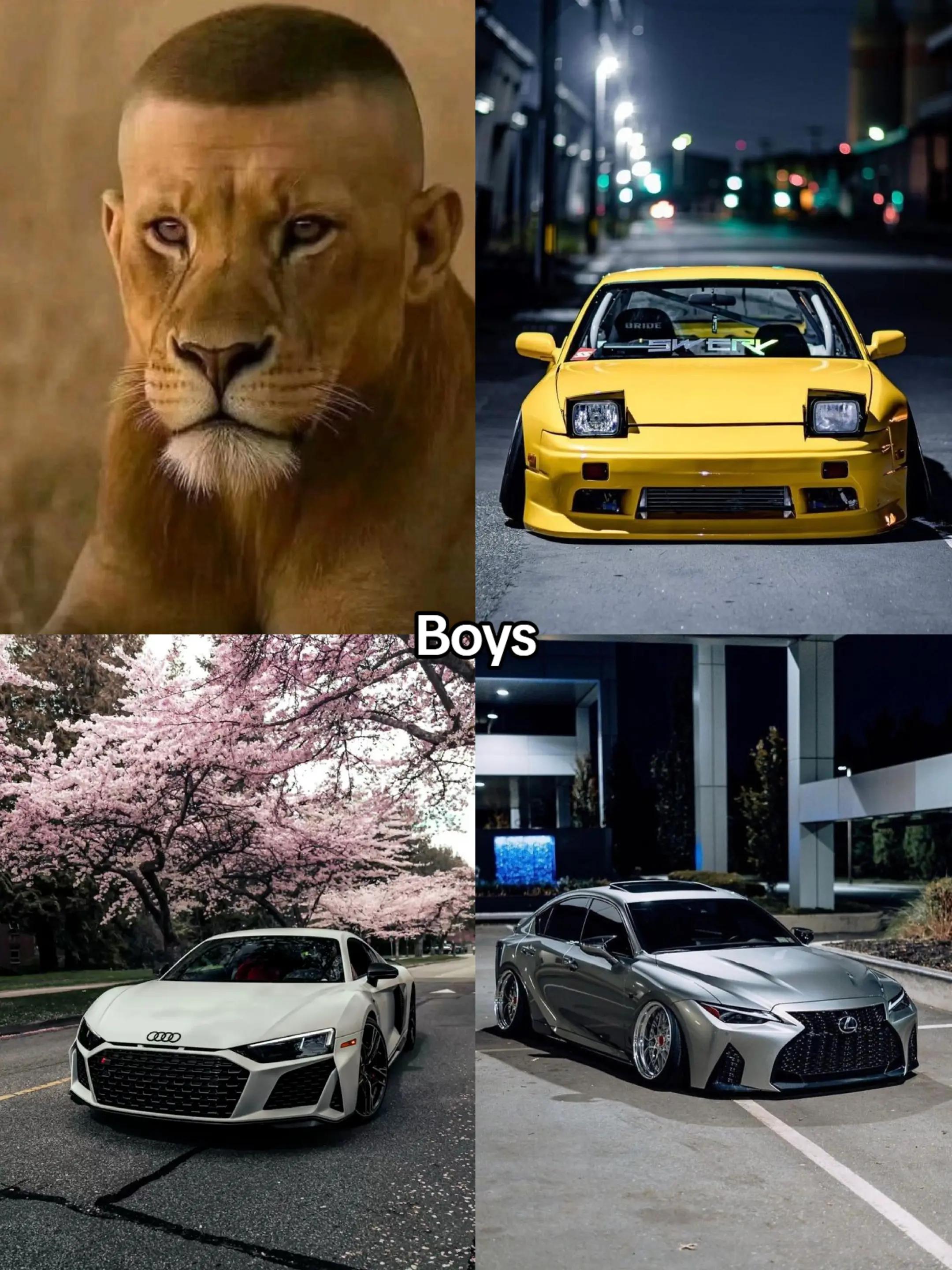 @𝑩𝑴𝑾