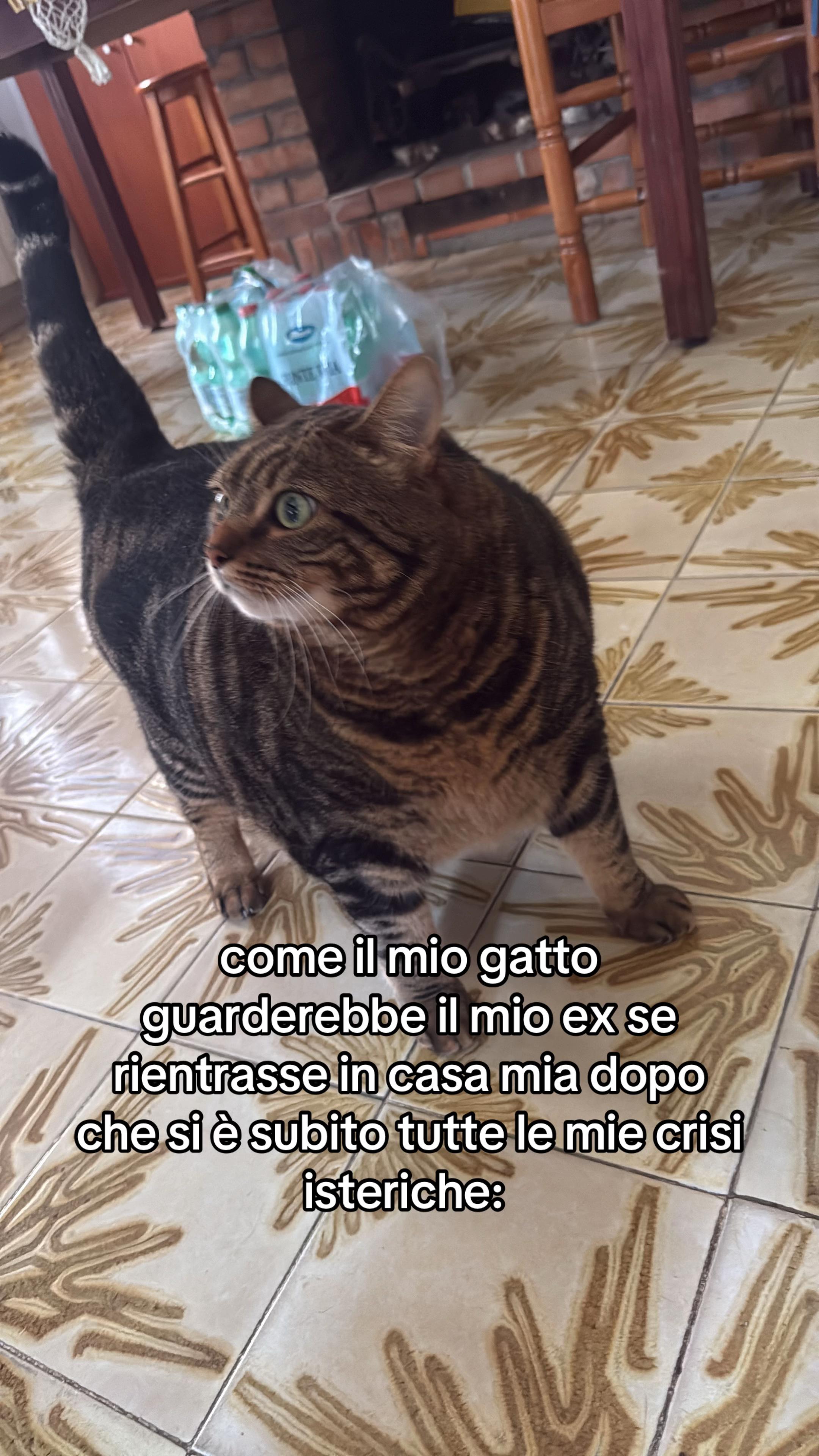 @chiaretta_official💁🏻♀️
