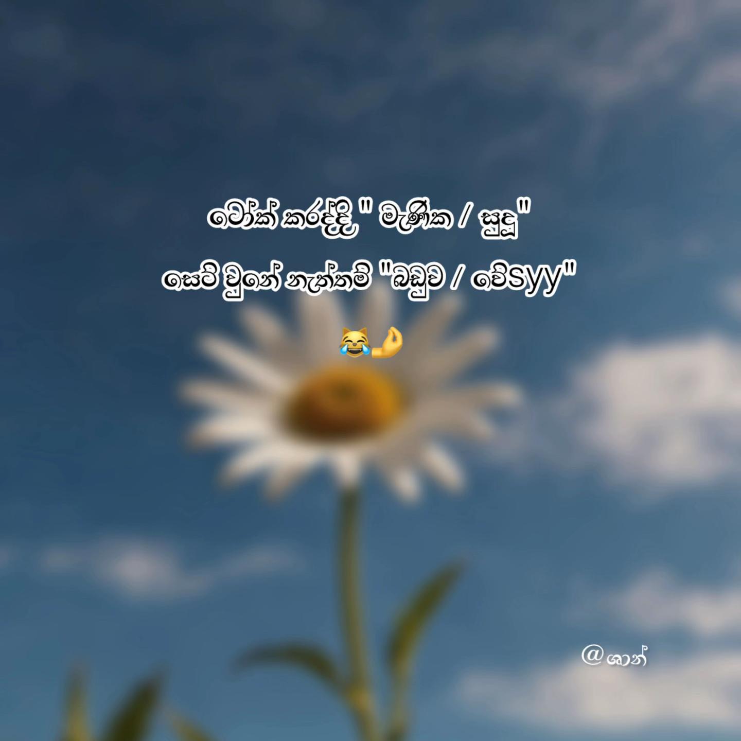 @๐ป๐๐_๐บ๐๐๐๐ ๐"