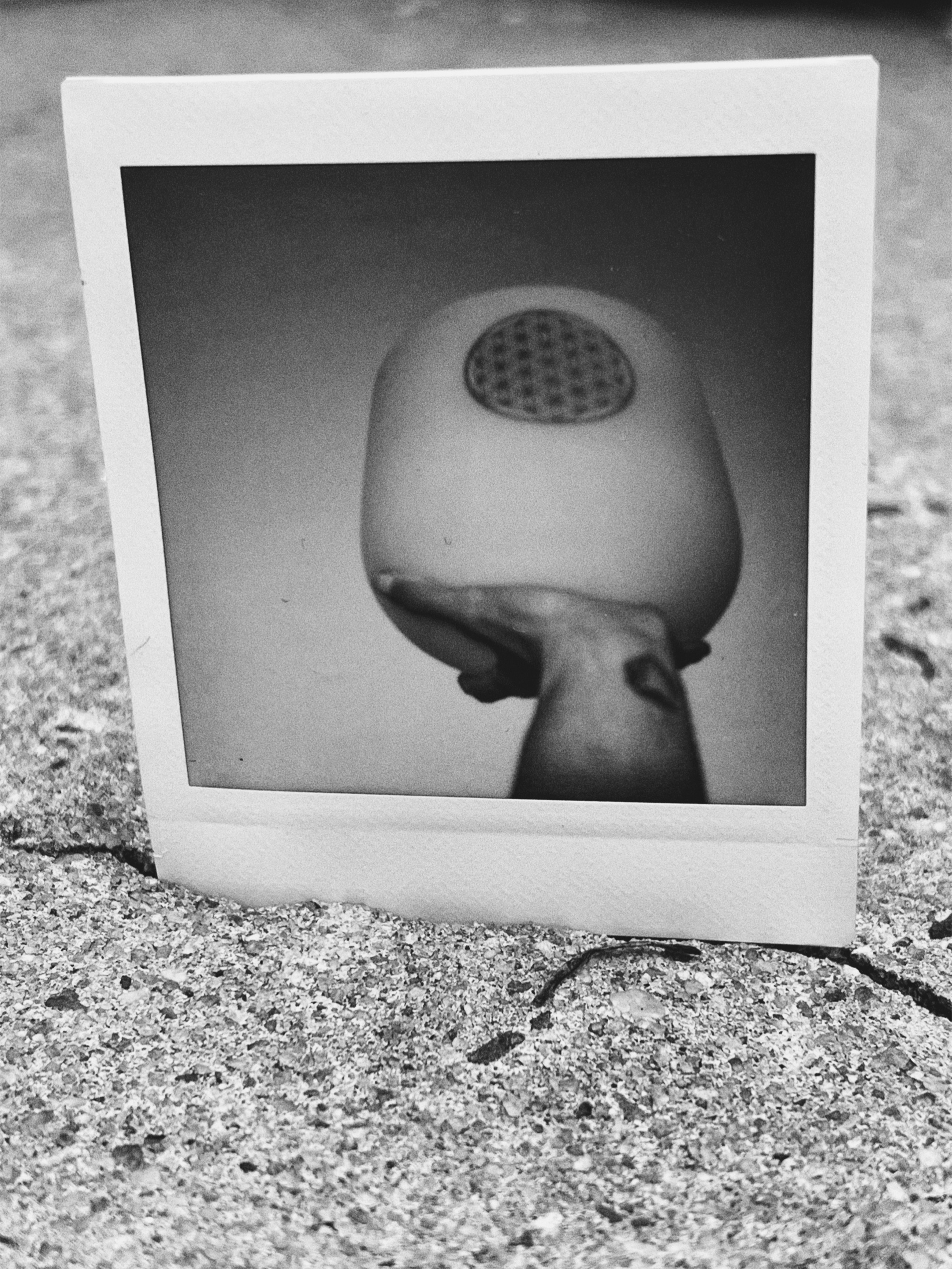 @bowlsofsound