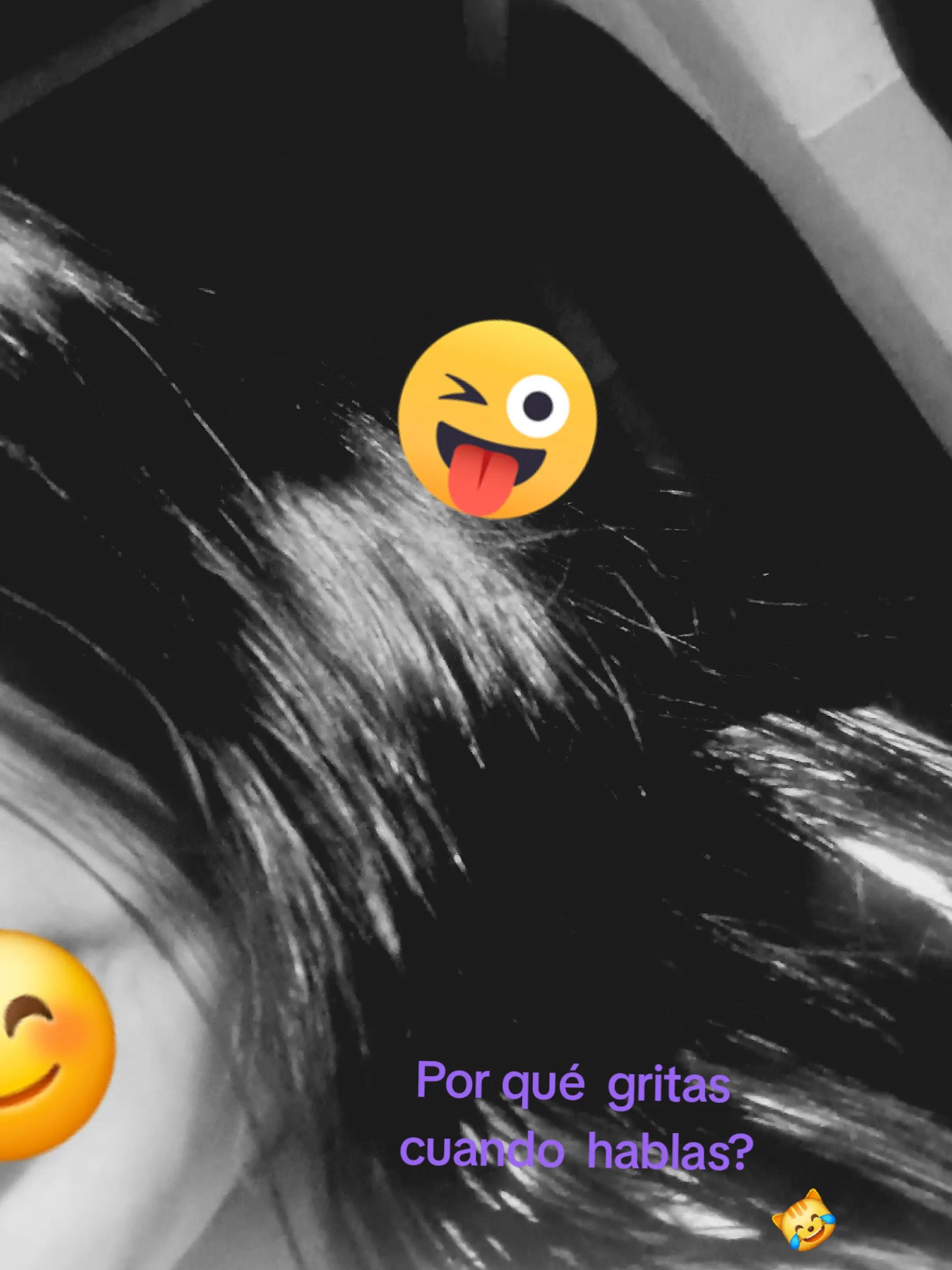 @𝓥𝓪𝓷𝓮🫶🏻🌷