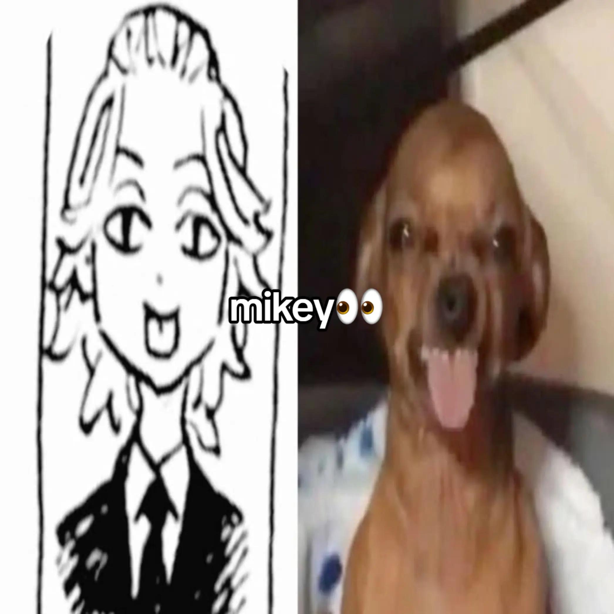 @✫ᩧ݁ꫴ݂ ݄ׅ꯱tׁׁׅׅɑׁׅꭈׁׅ ! !݁ႂ🦈 ᩗ