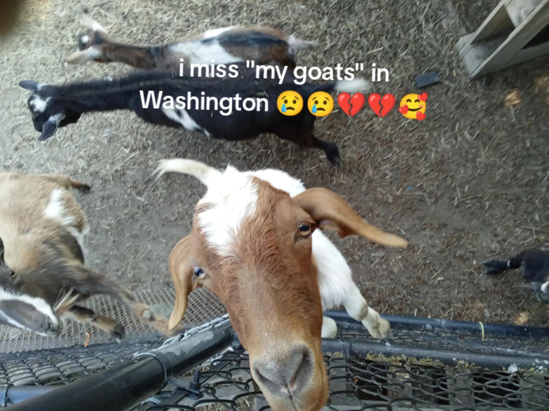 @trucker John