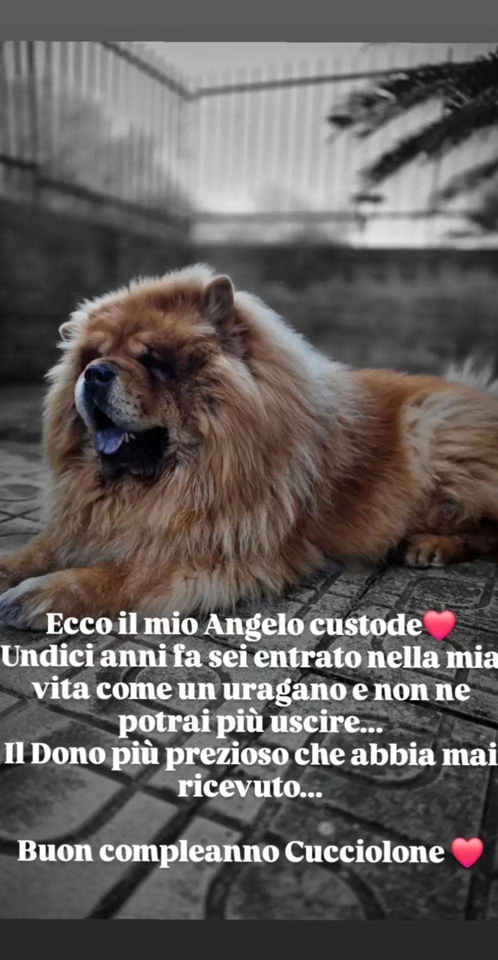 @Lorenzo