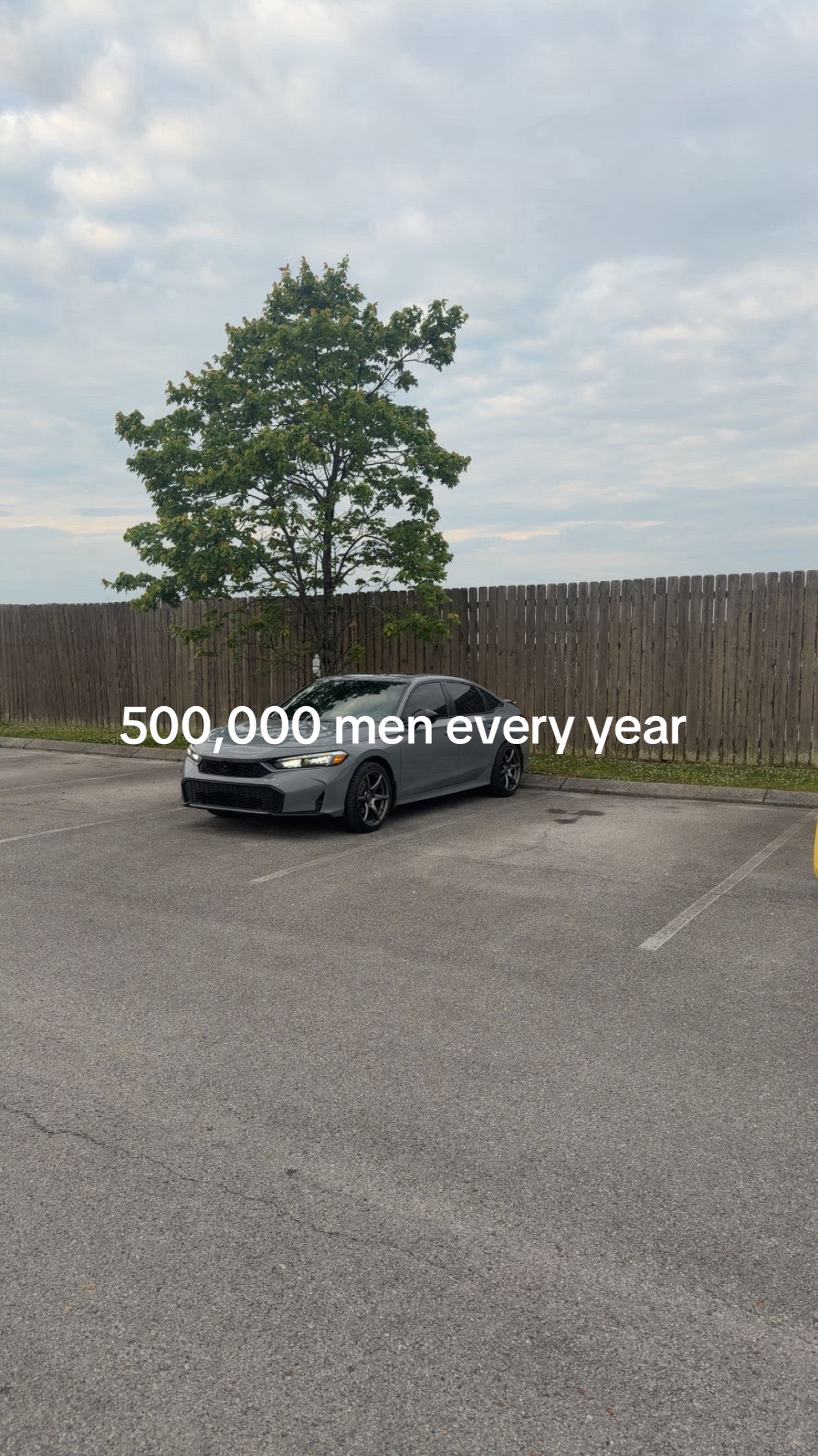@11gen.zach