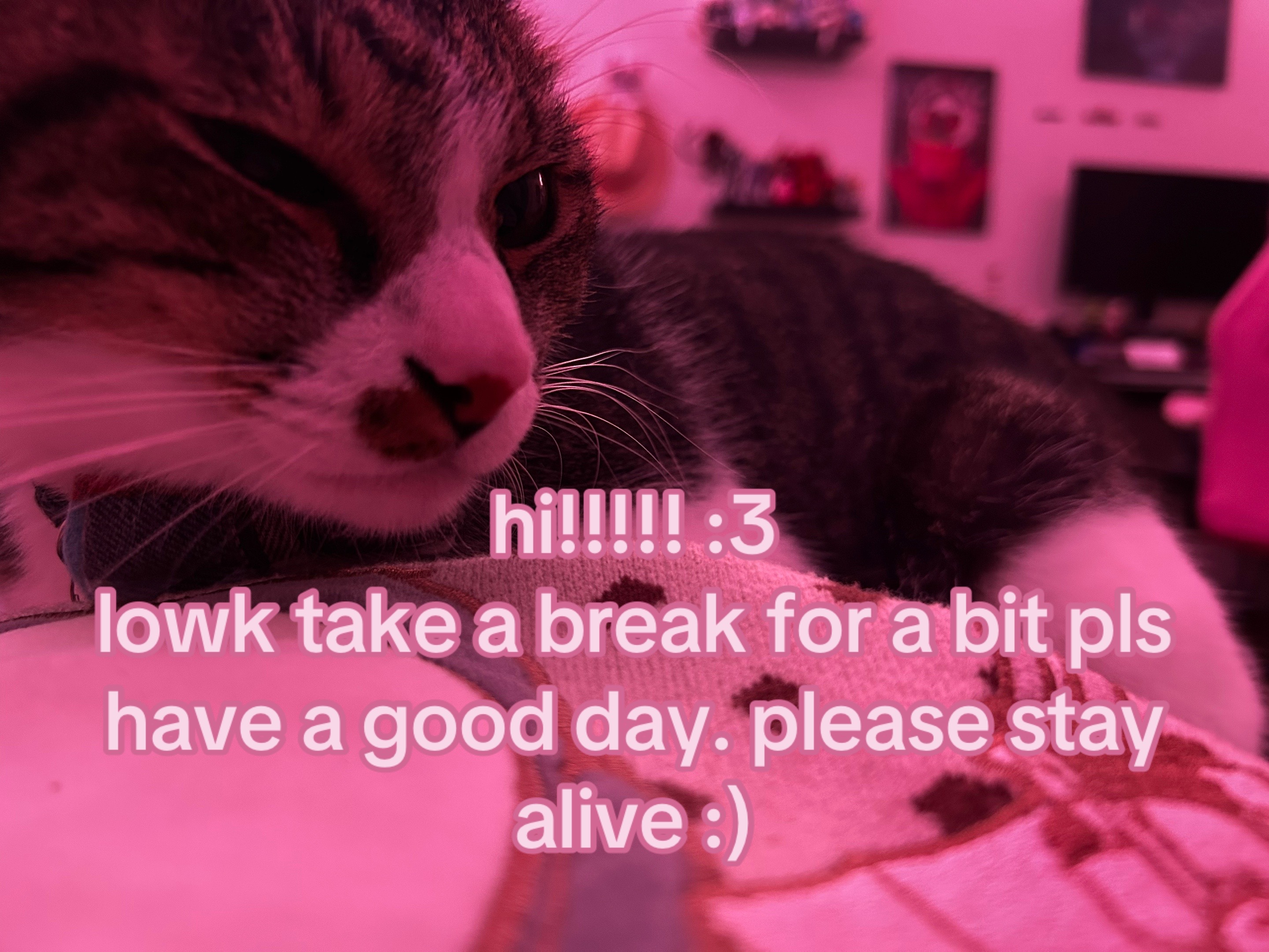 @🌙🪻Hiraya :)