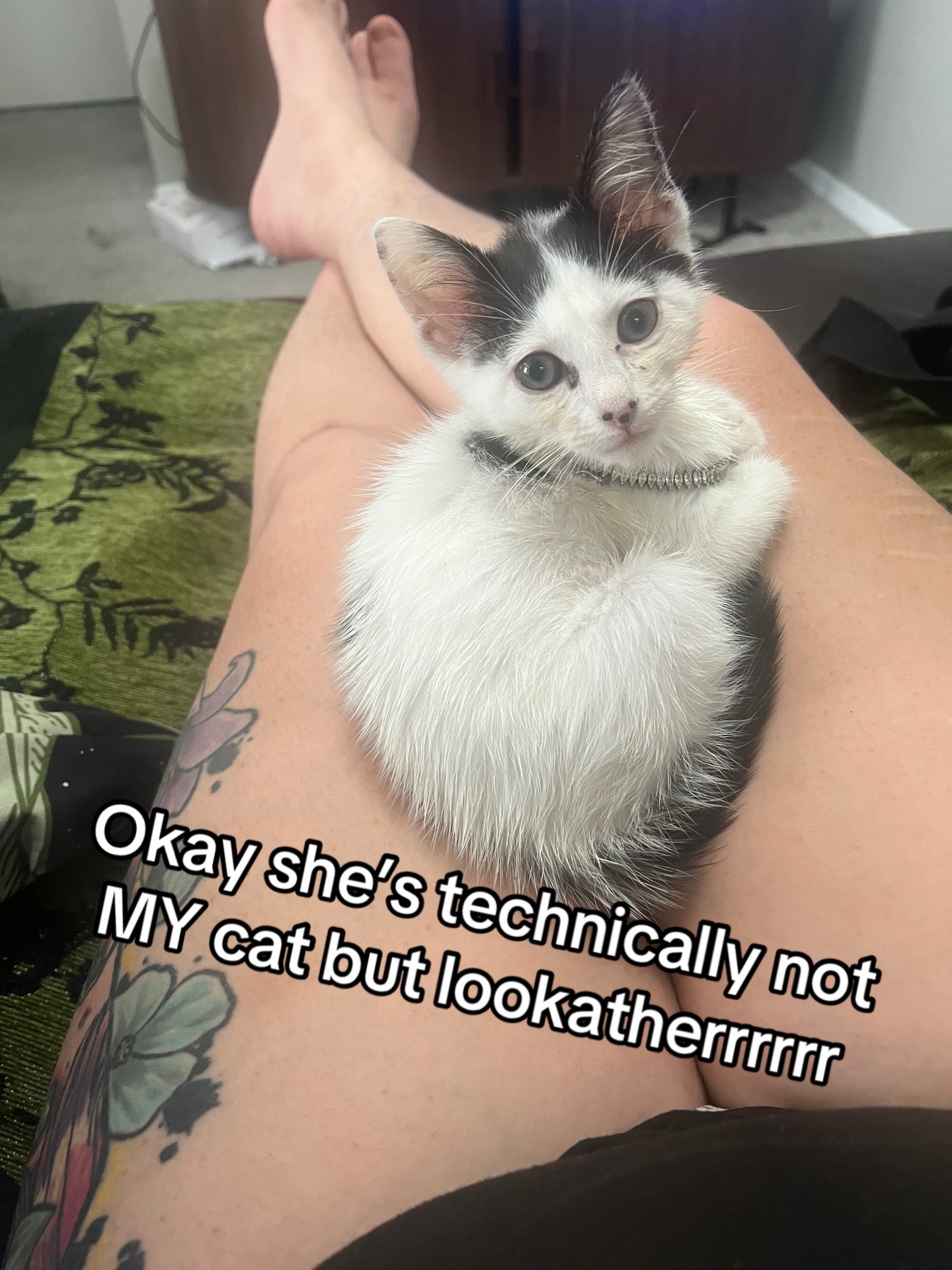 @cosmiccorpsekitten