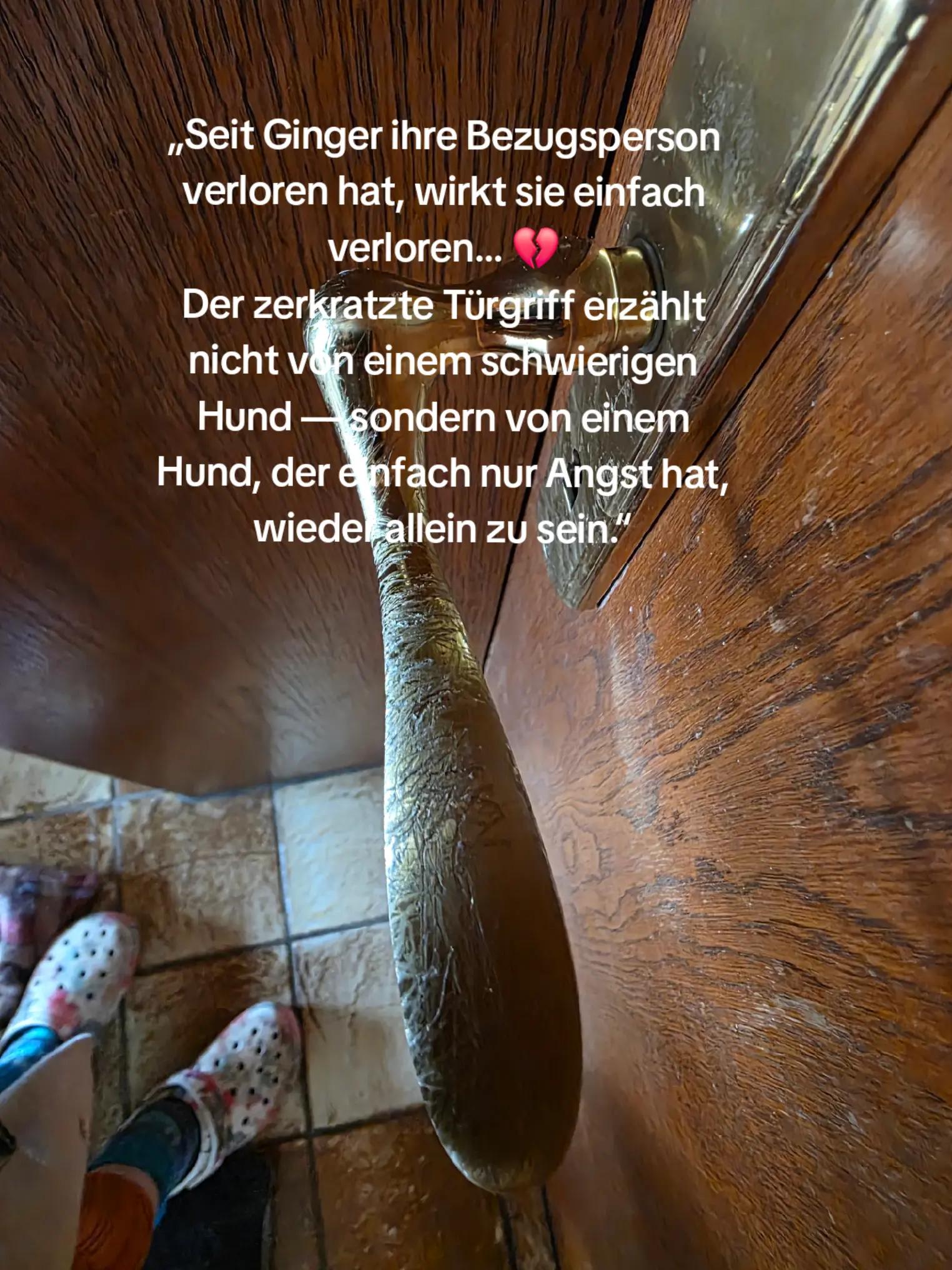 @DAS WUFF HAUS