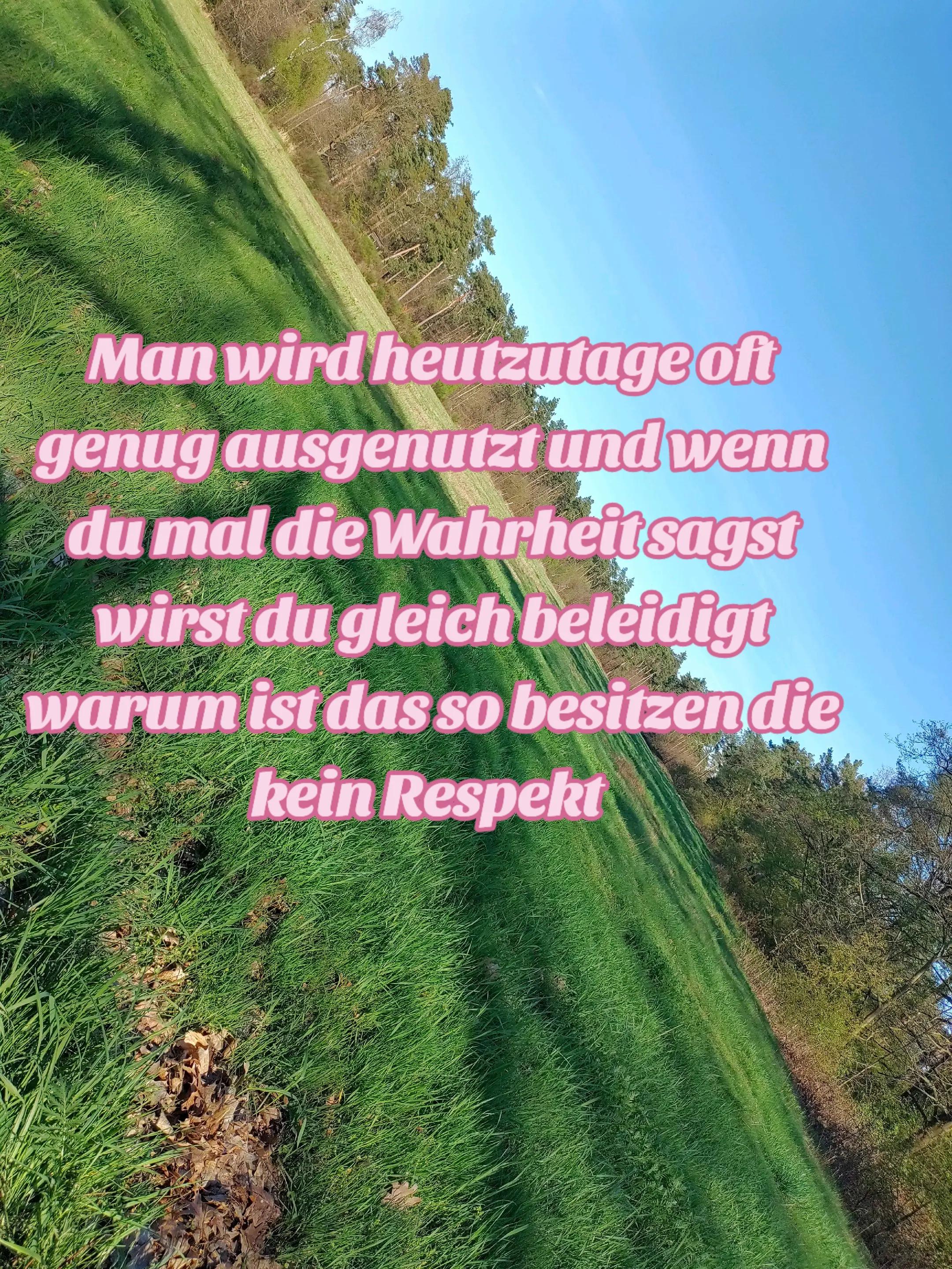 @Loveskoda💕