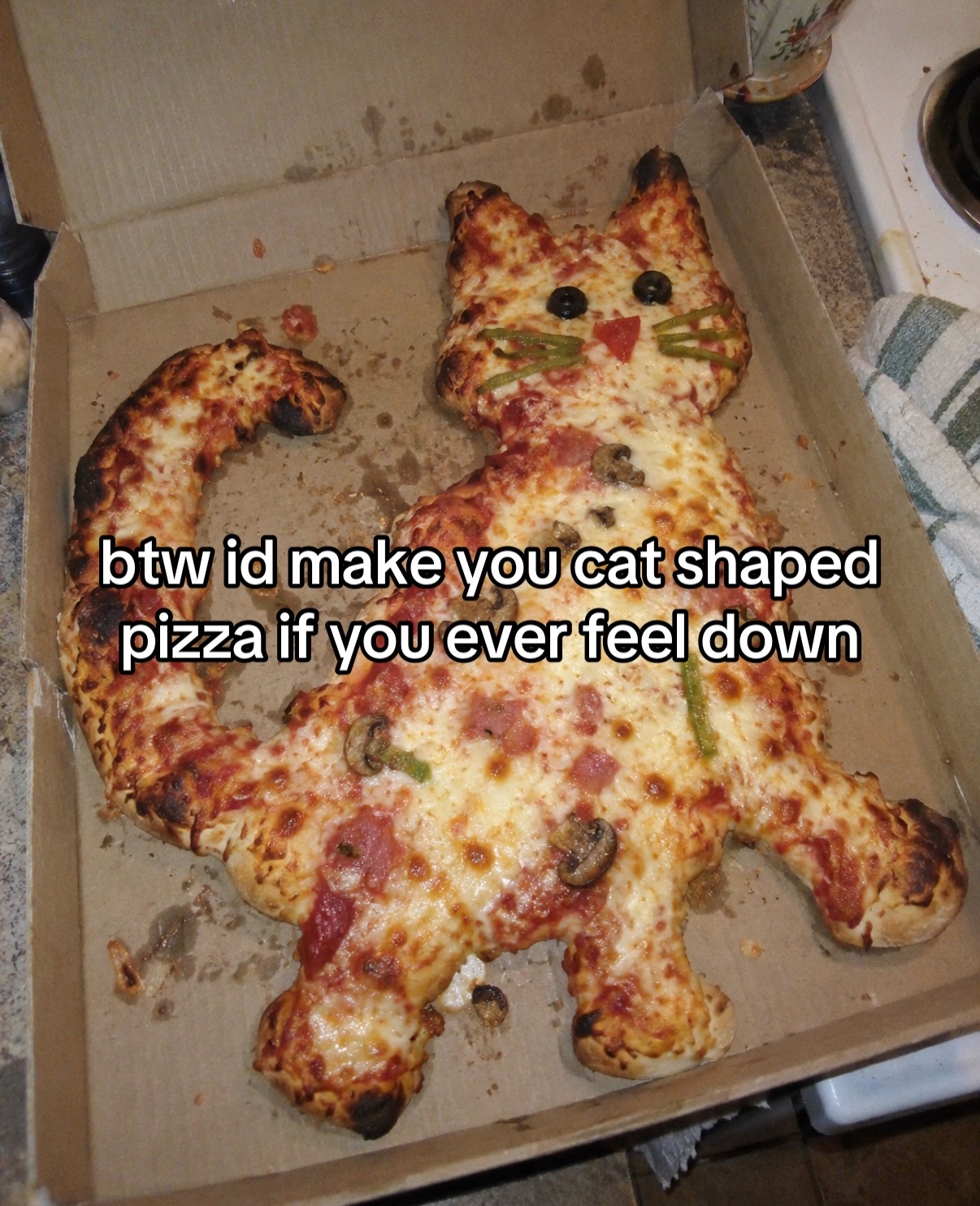 @cat memes