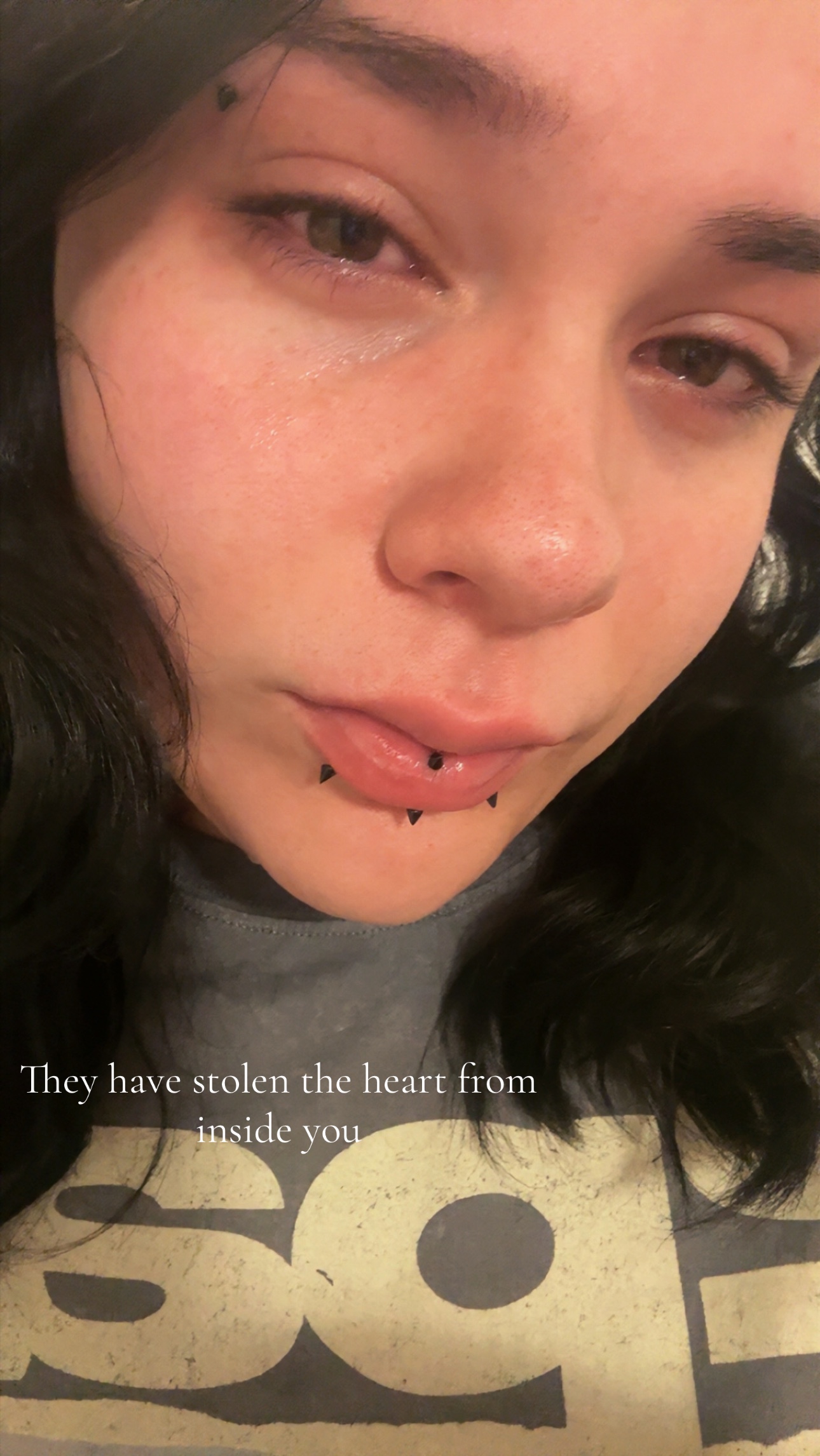 @༺𝓐𝓛𝓔𝓧༻