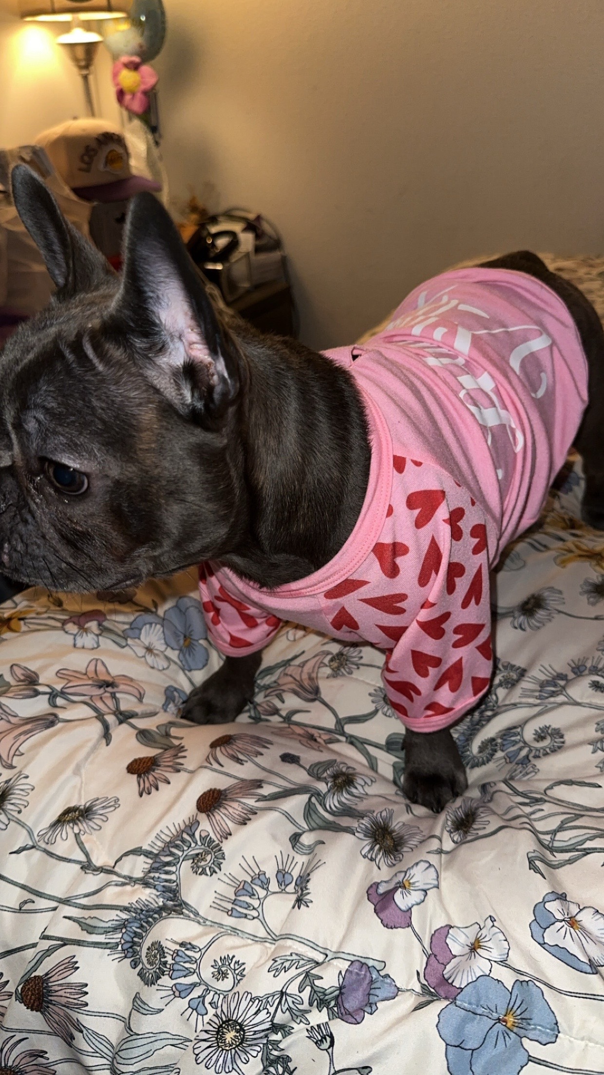 @Zoe Love The Frenchie