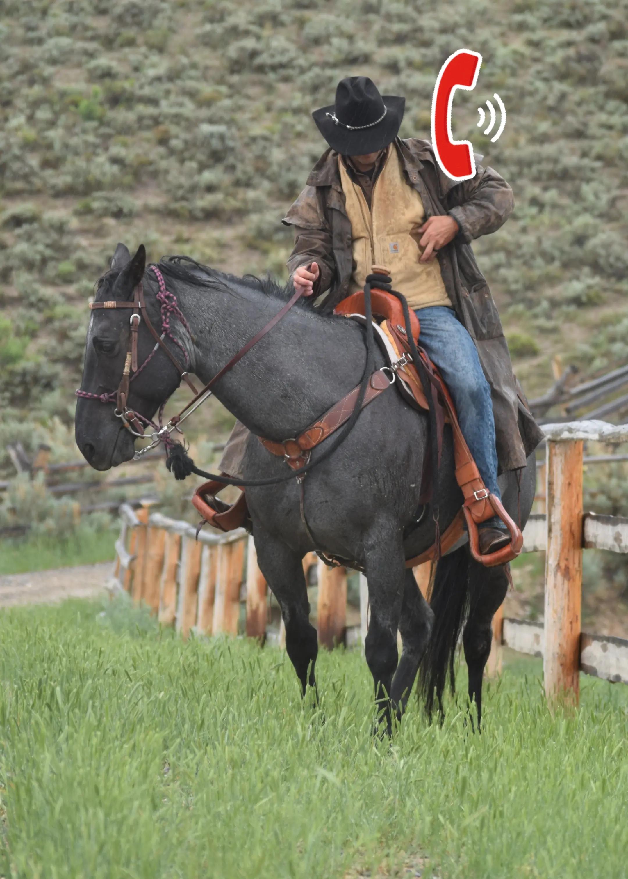 @Cowboy Ninja