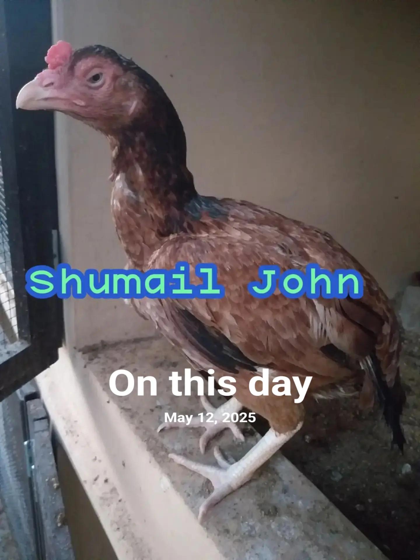 @Shumail John Official