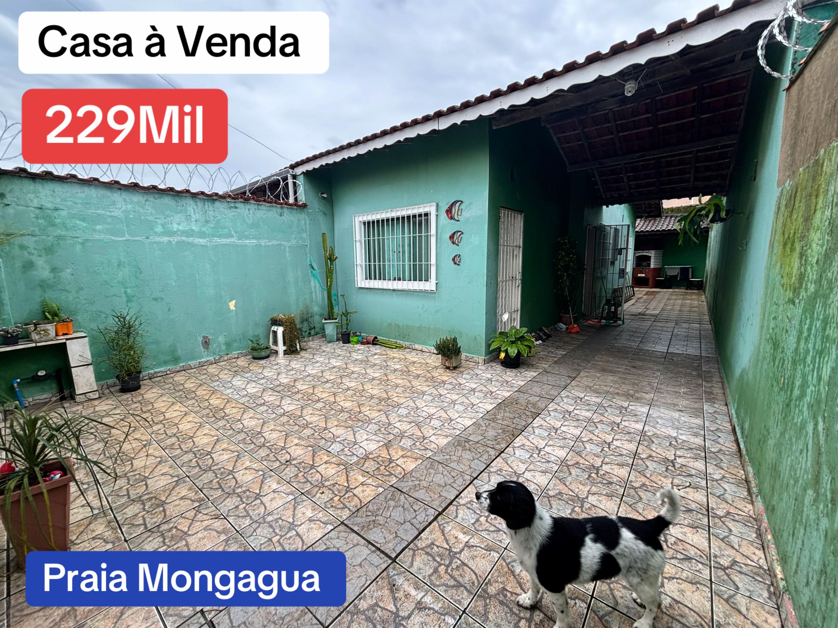 @Marcelo Laurindo (13)991046309
