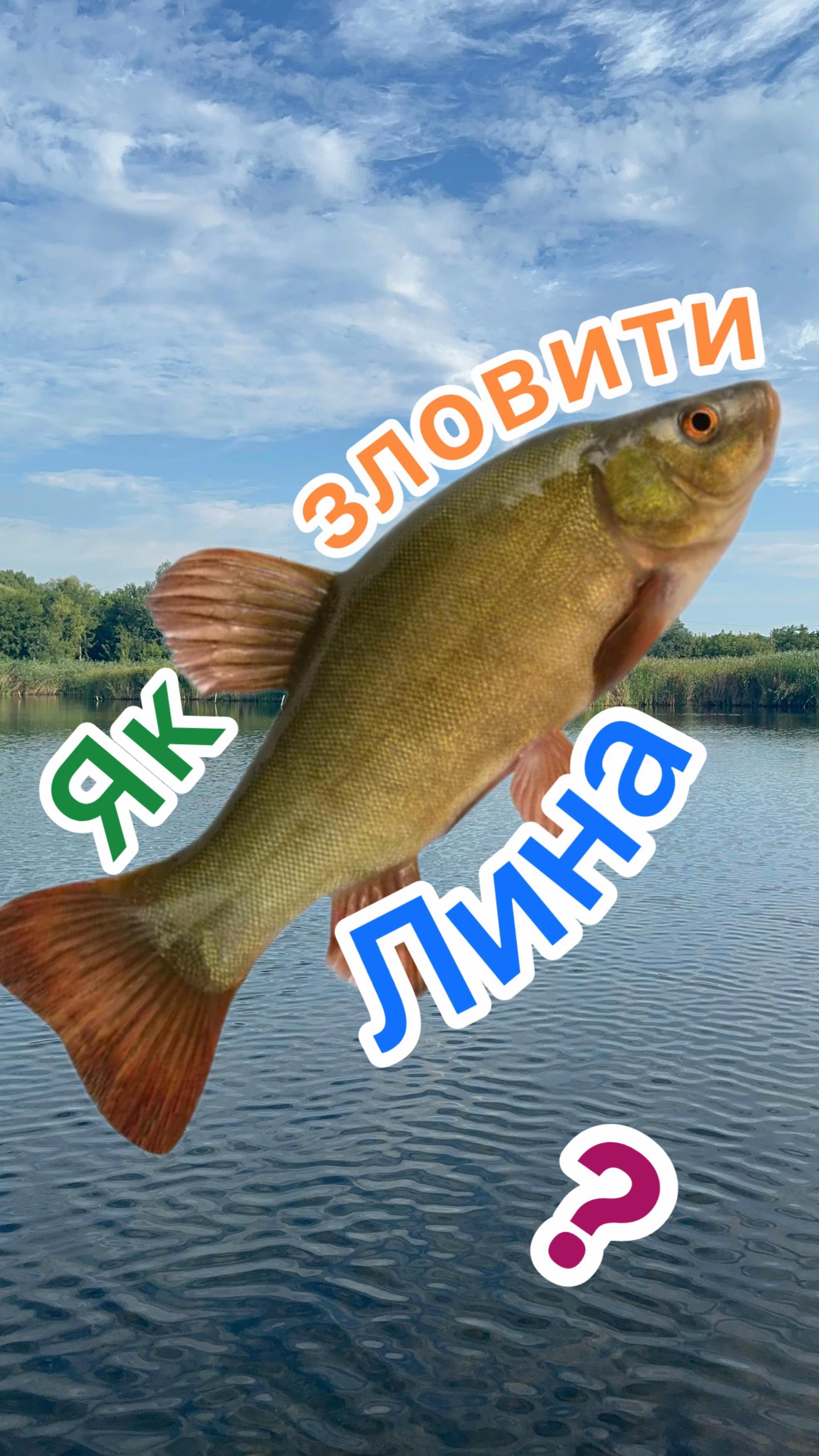 @РИБАЦЬКА МАНІЯ