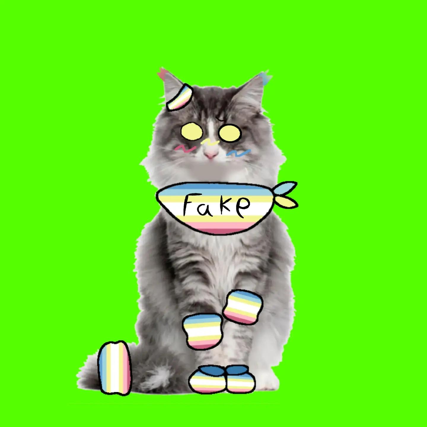 @✩{!𝓼𝓸𝓷𝓻𝓮𝓪𝓷!]✩