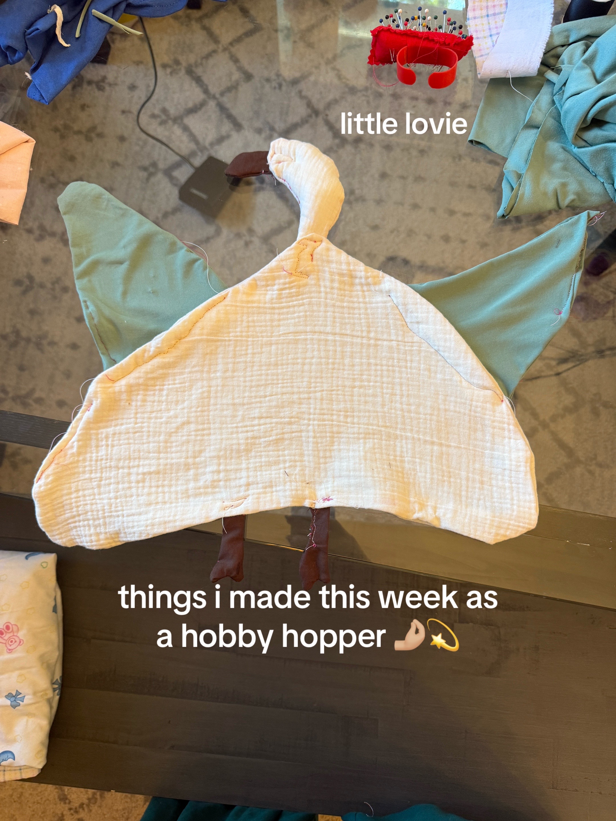 @hannahnswan
