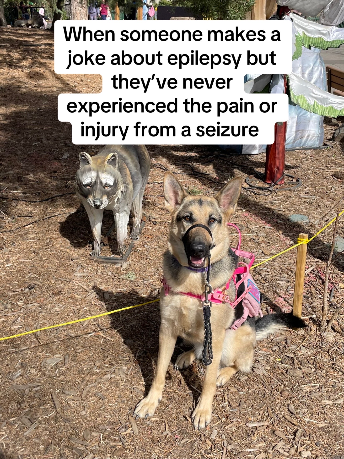 @duchesstheworkingdog