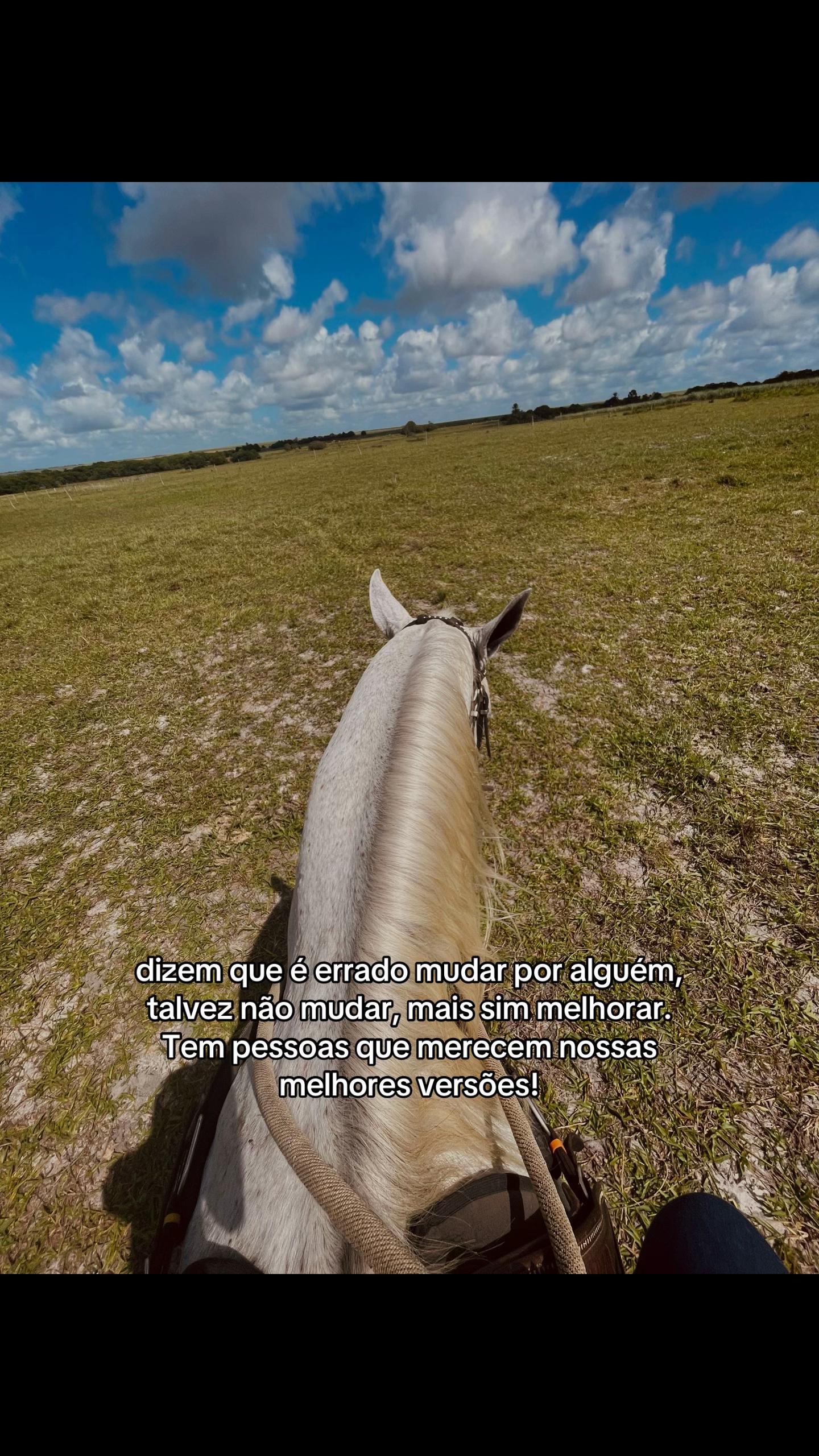 @Vivi Correia