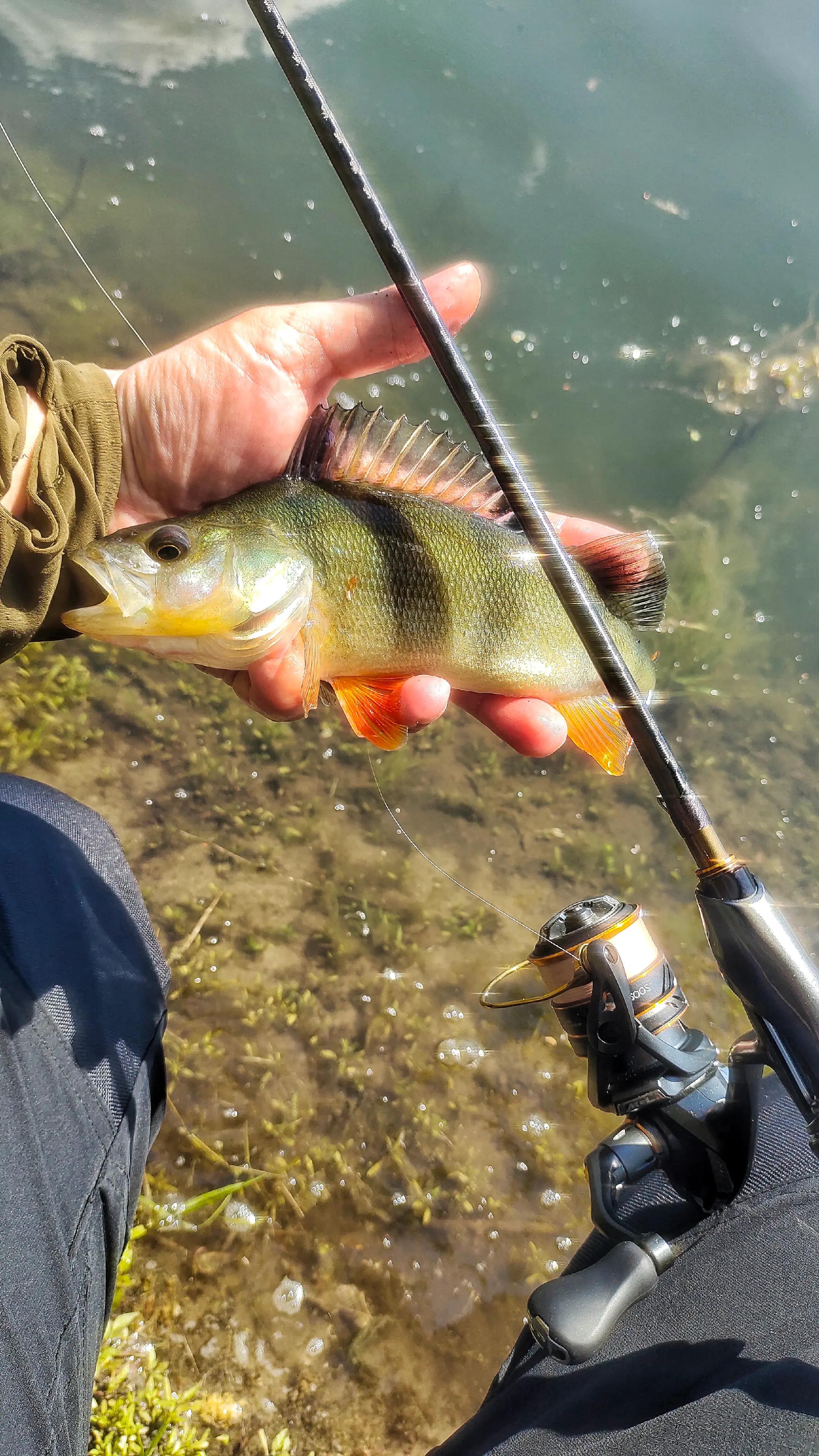 @hot_baits