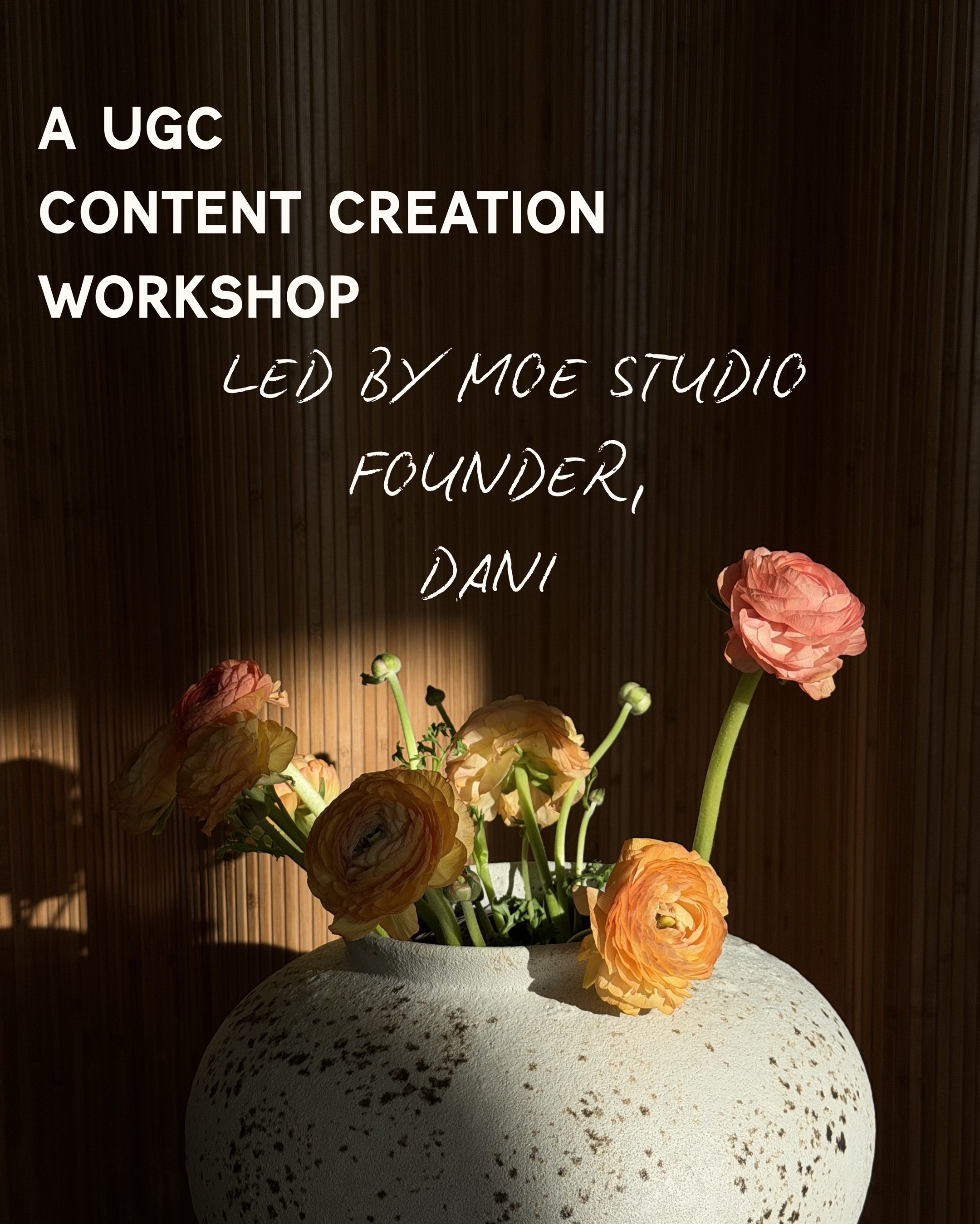 @MOE Studio