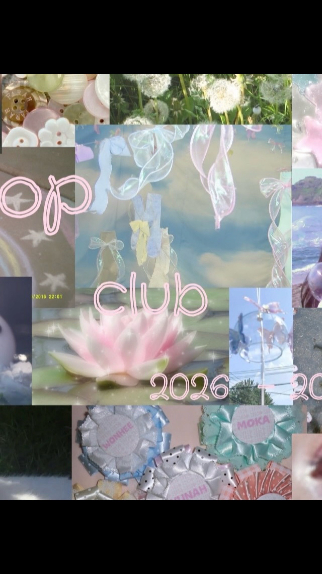 @cchs.kpopclub