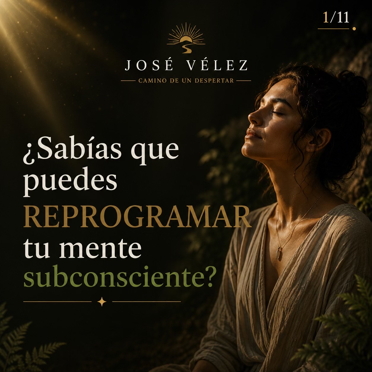 @José Vélez