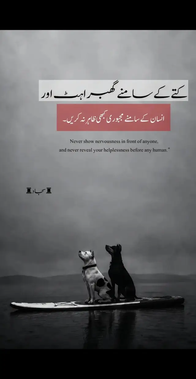 @Jhanzaib Hussain ♡