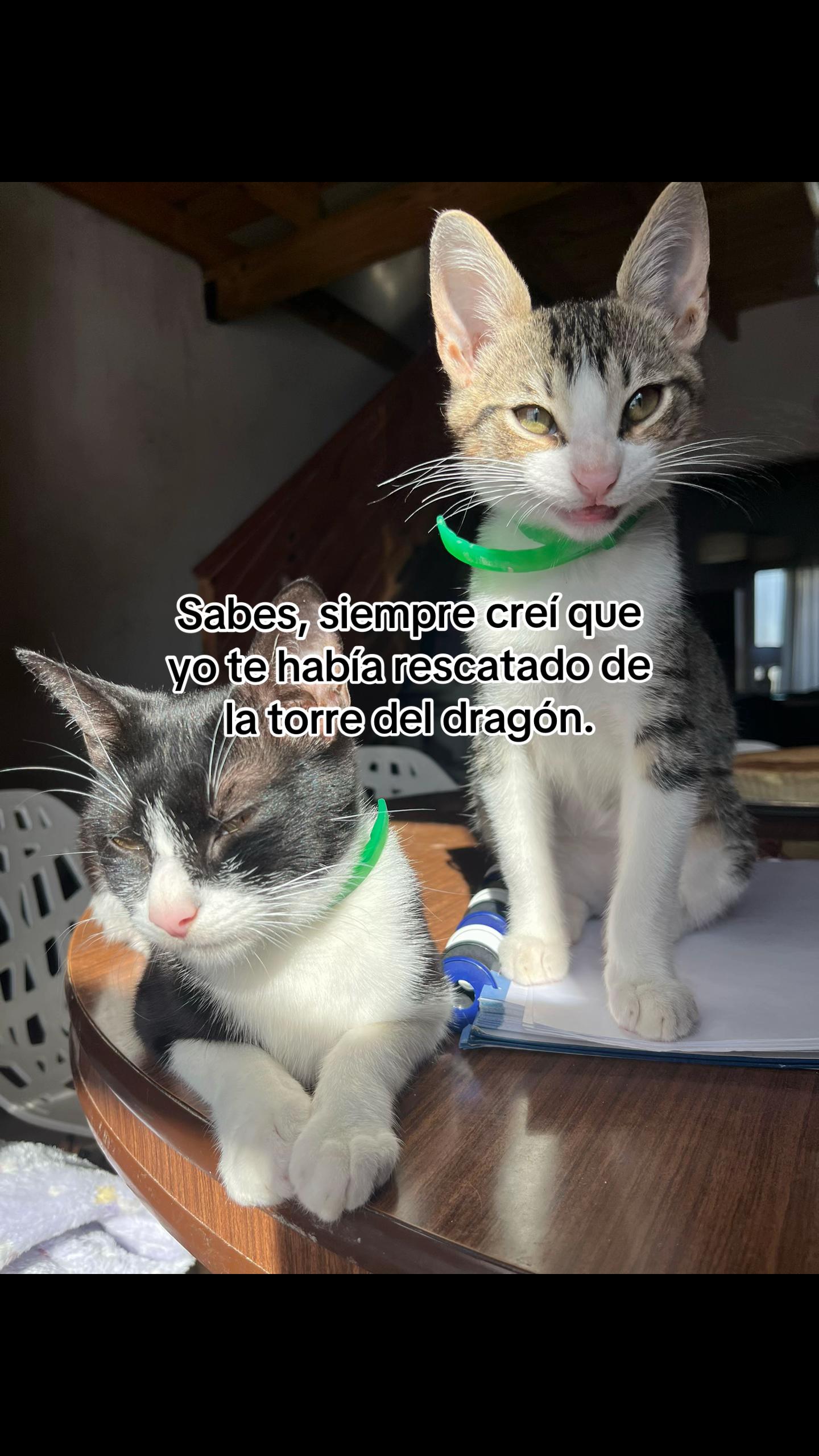 @Lissi