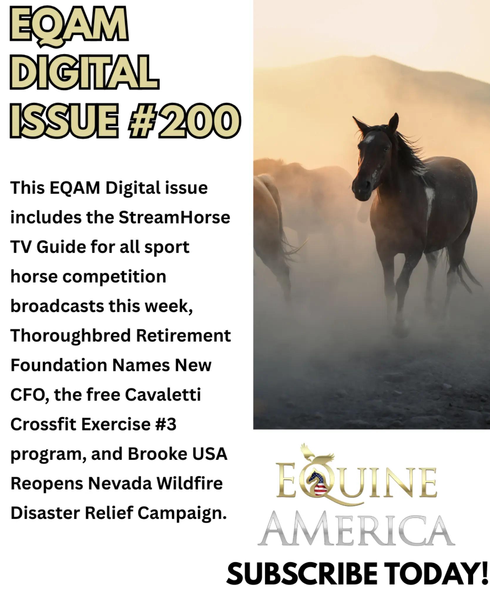 @streamhorse