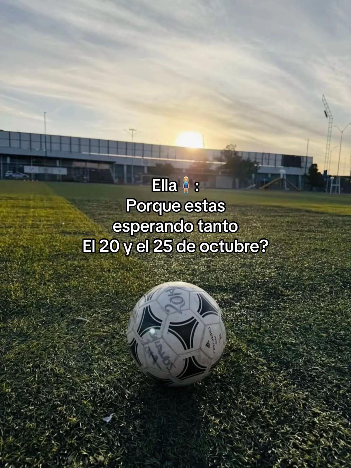 @Alexander Mendoza 🐻
