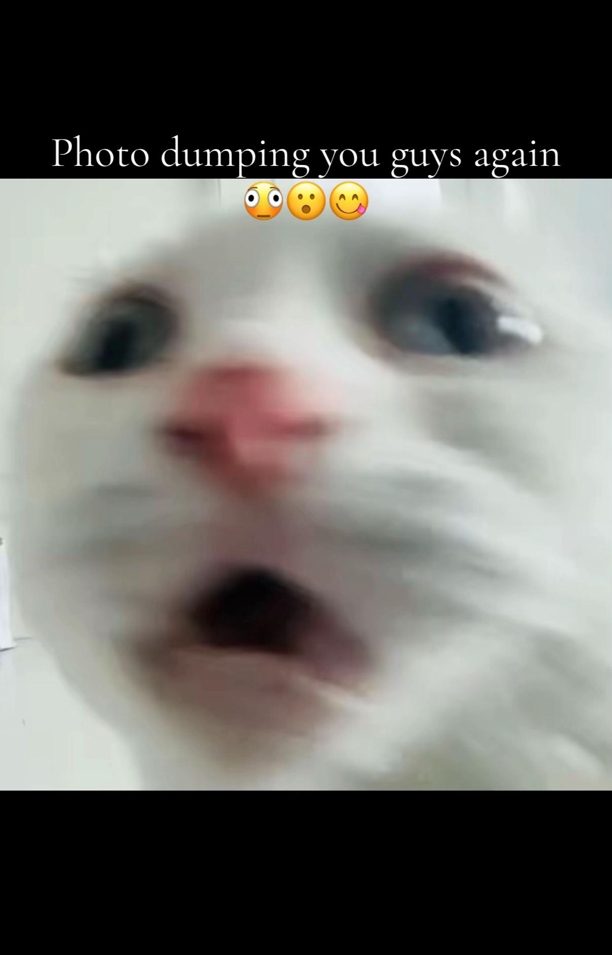 @senpaibunnzy