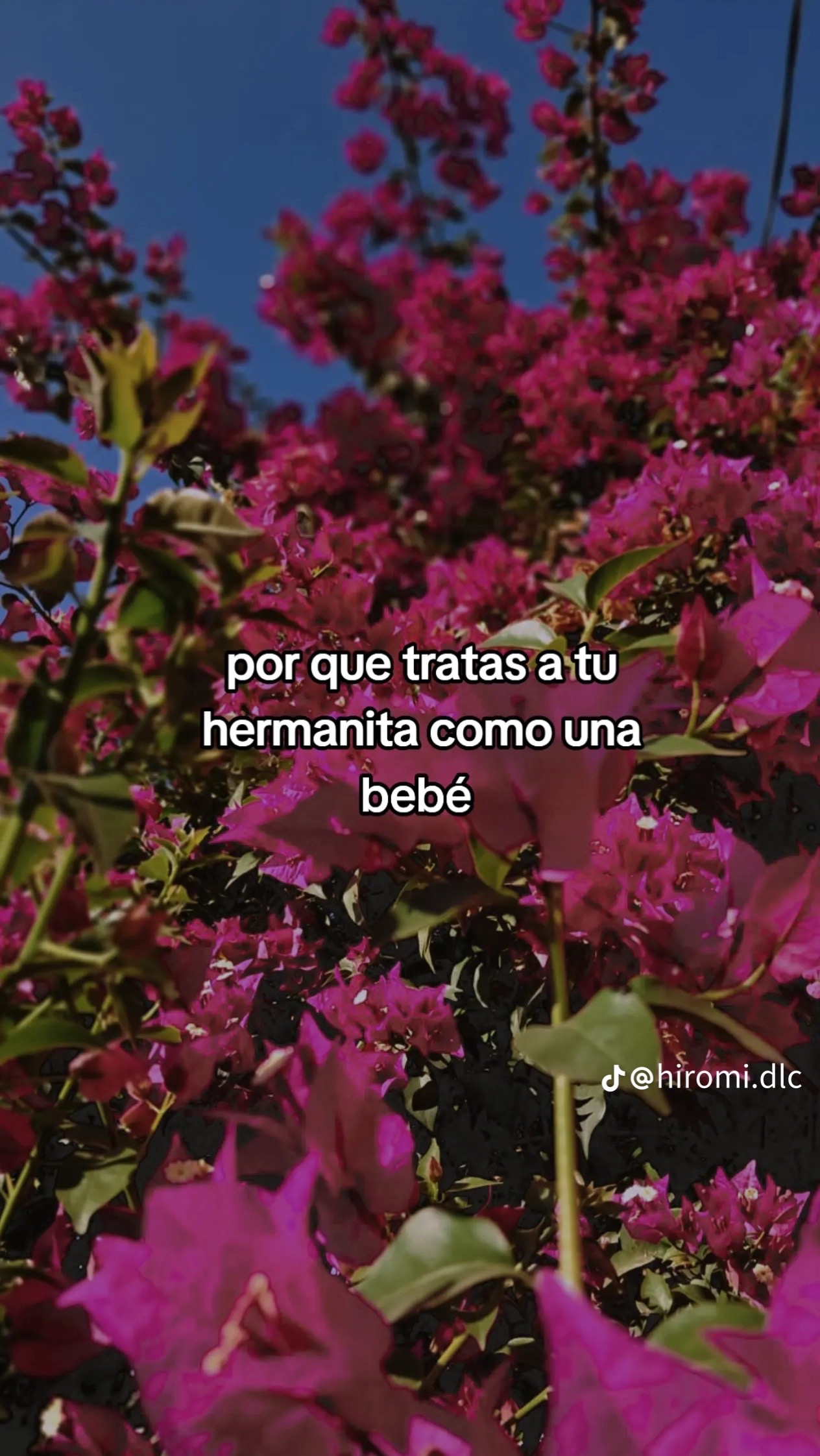 @Astrid carolinne