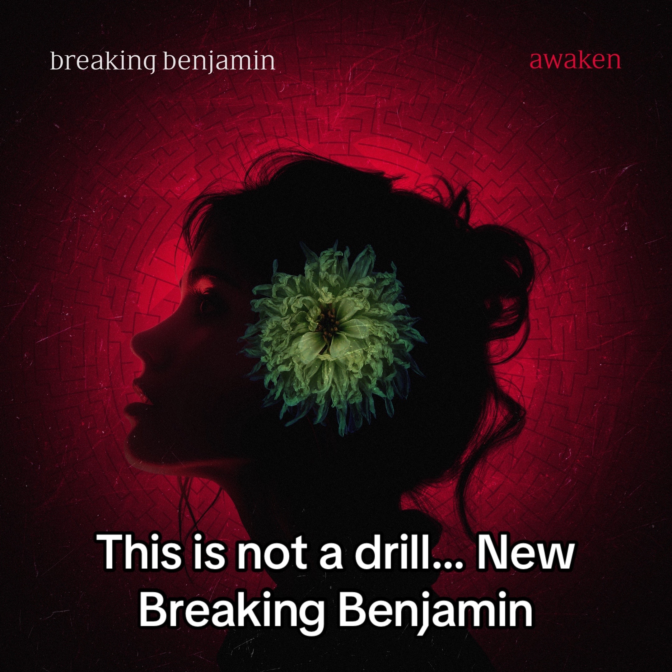 @Breaking Benjamin