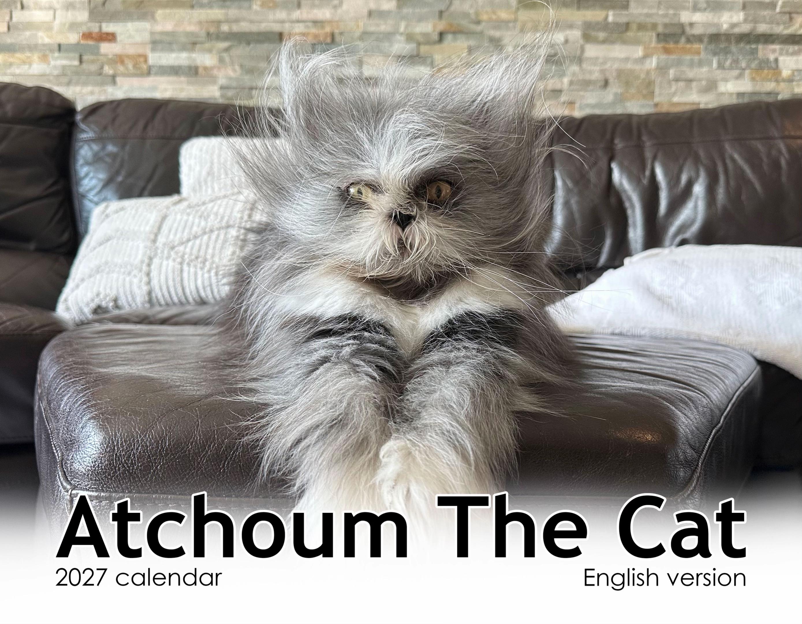 @atchoumthecat