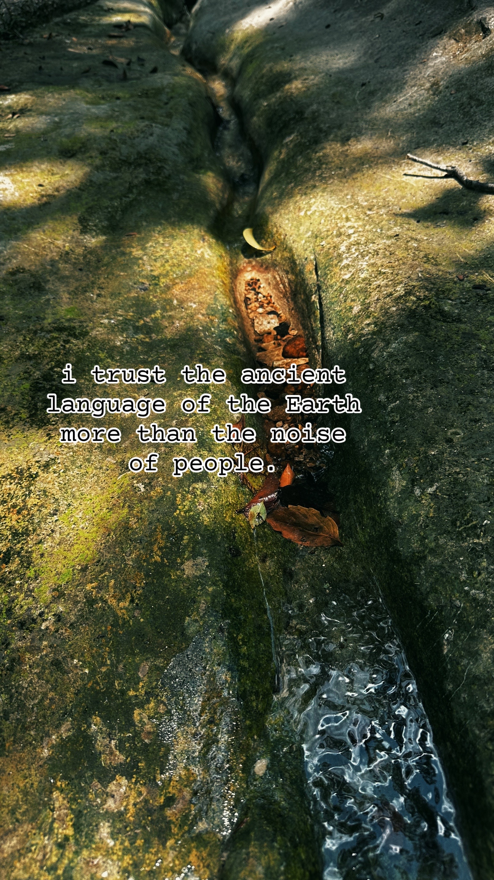 @𝔢𝔞𝔯𝔱𝔥 𝔞𝔫𝔤𝔢𝔩