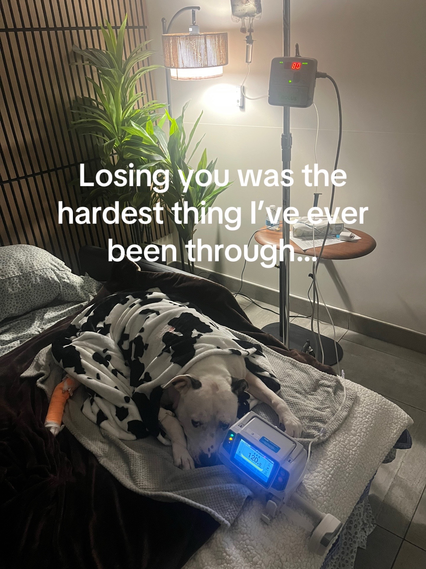 @Ali 🆘🕯️