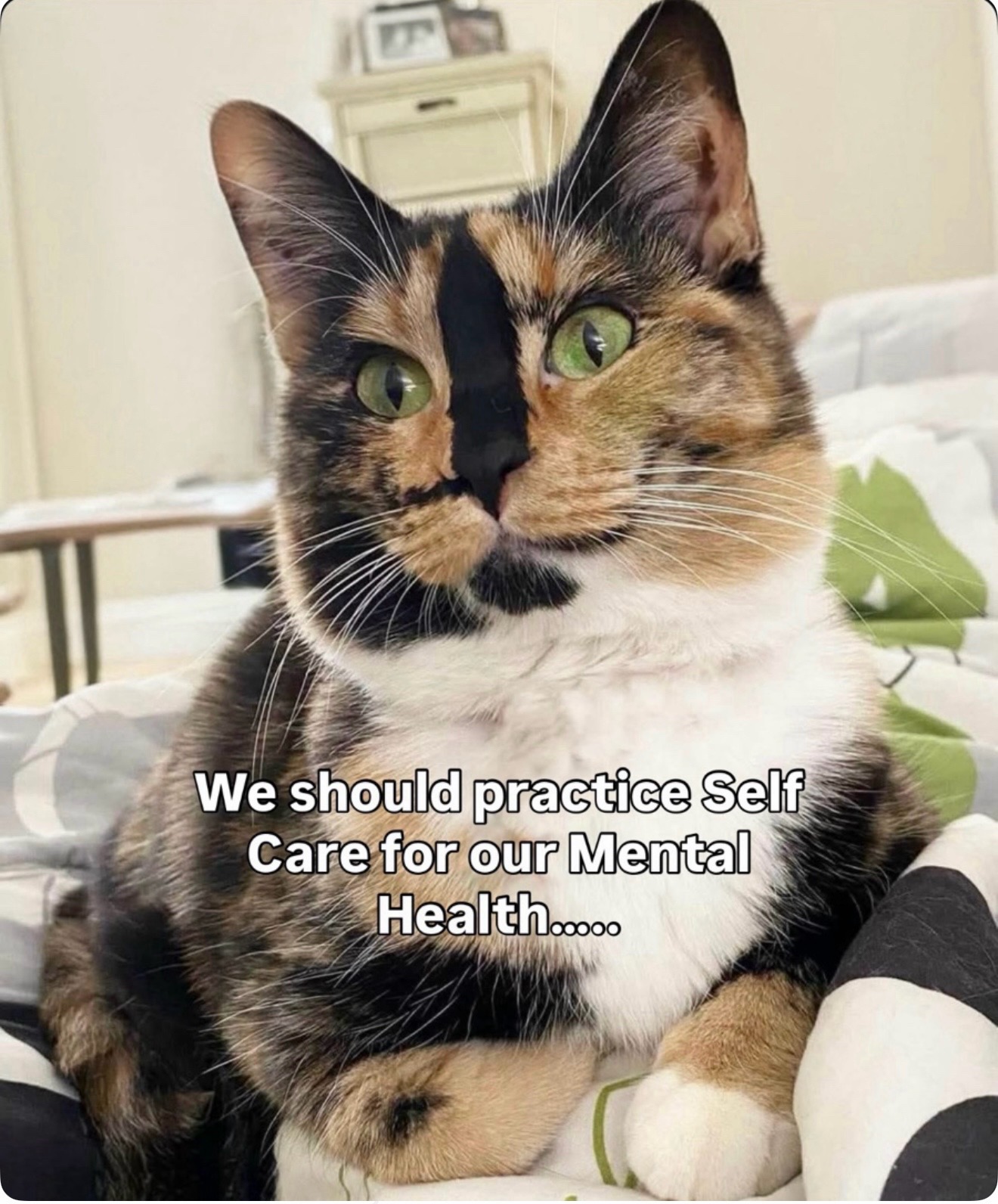 @SnickersTheSmilingCat