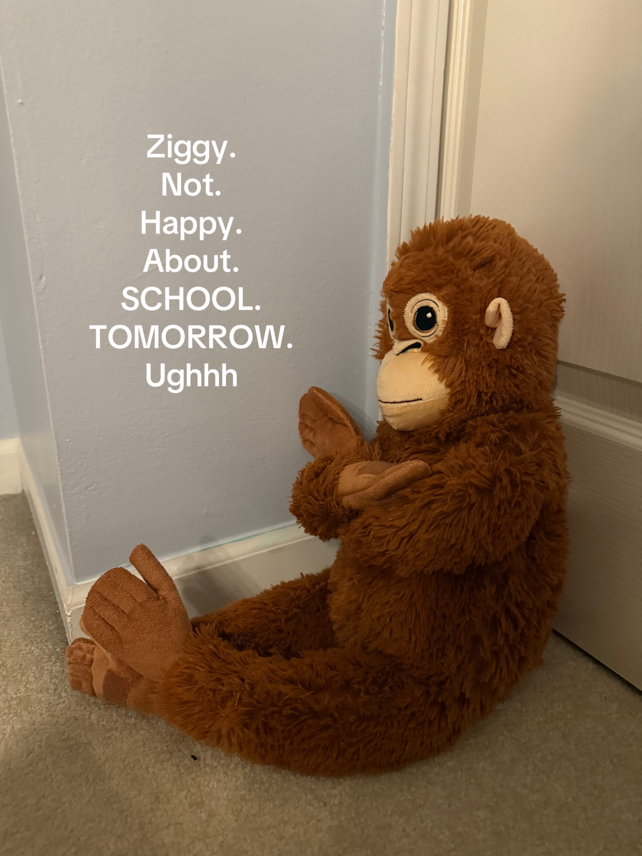 @Ziggy 🐵